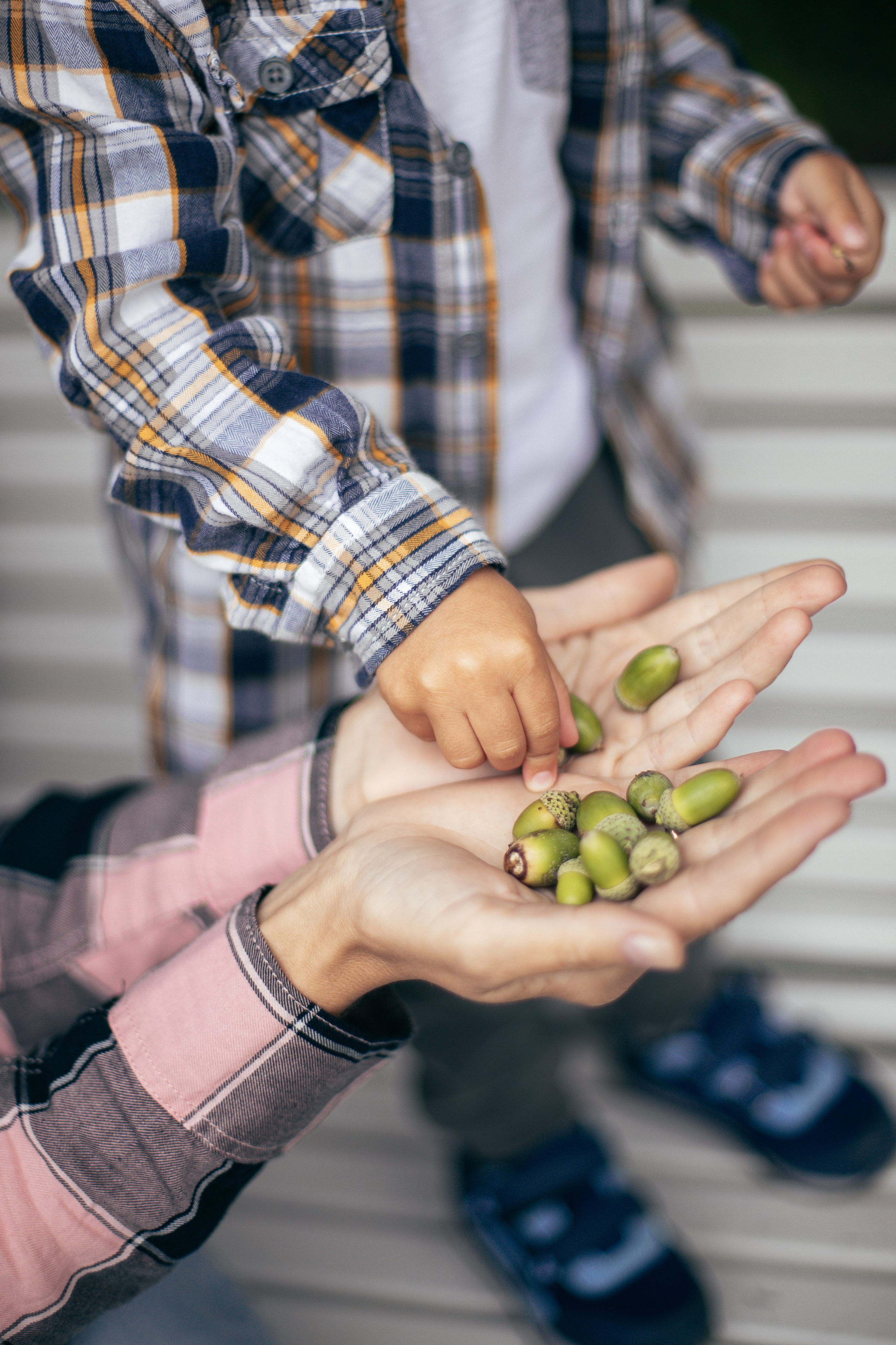 Прогулка в парке. Главная
