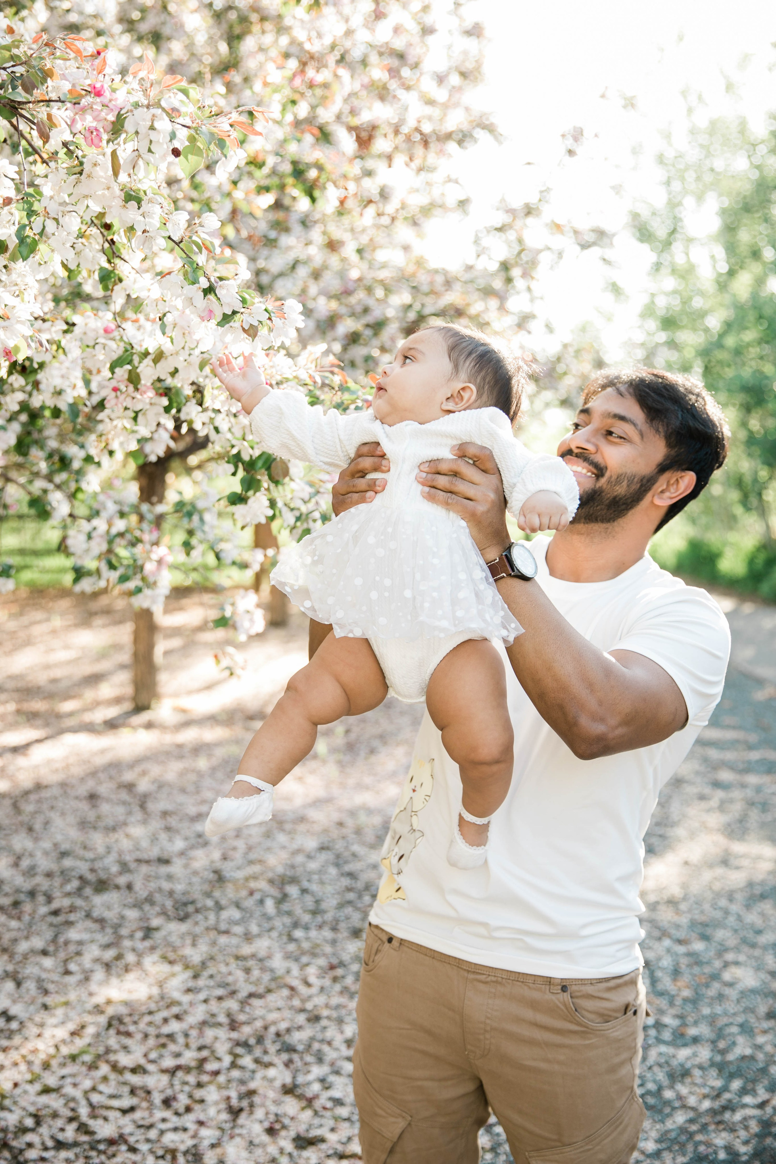 Nabeel Cherry Blossoms. Fotografía accesible en Calgary