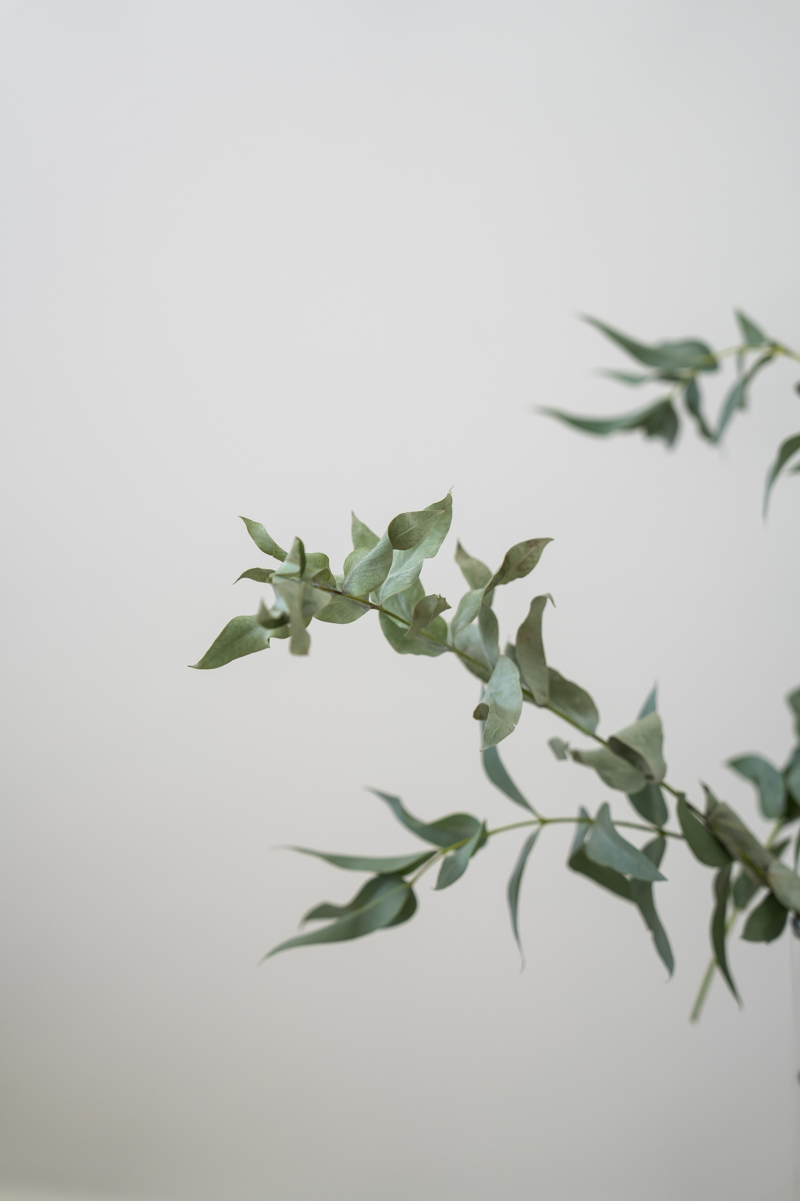 Контент для блога. Ekaterina Verbitskaya. Photography