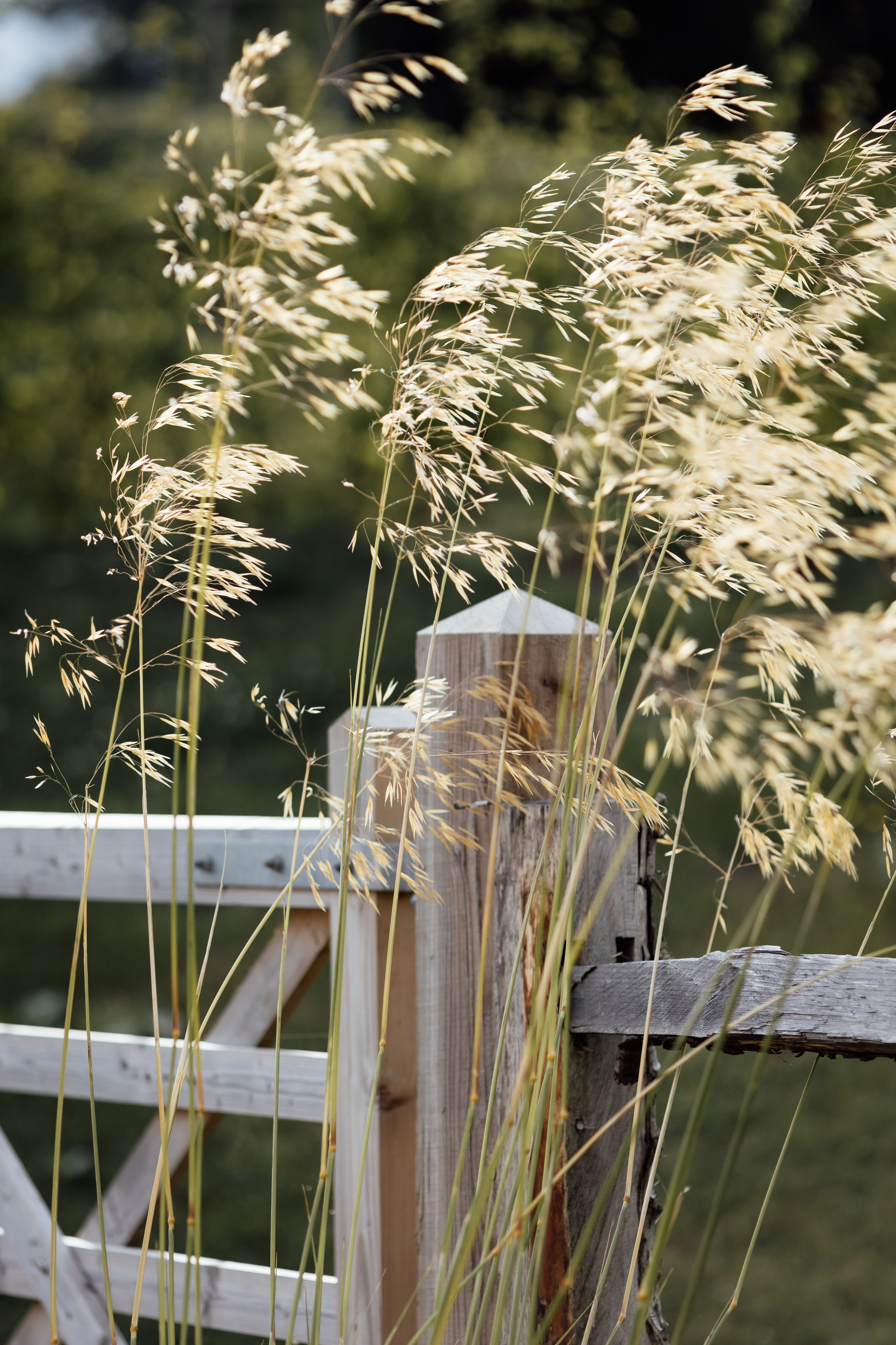 Limekiln, East Sussex, UK. 2025. Timeless Wedding & Event Photography — based London, working across Europe