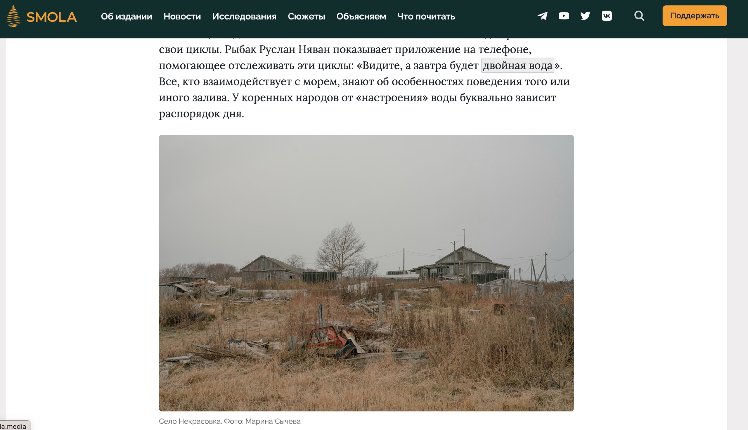 Publications. Marina Sycheva