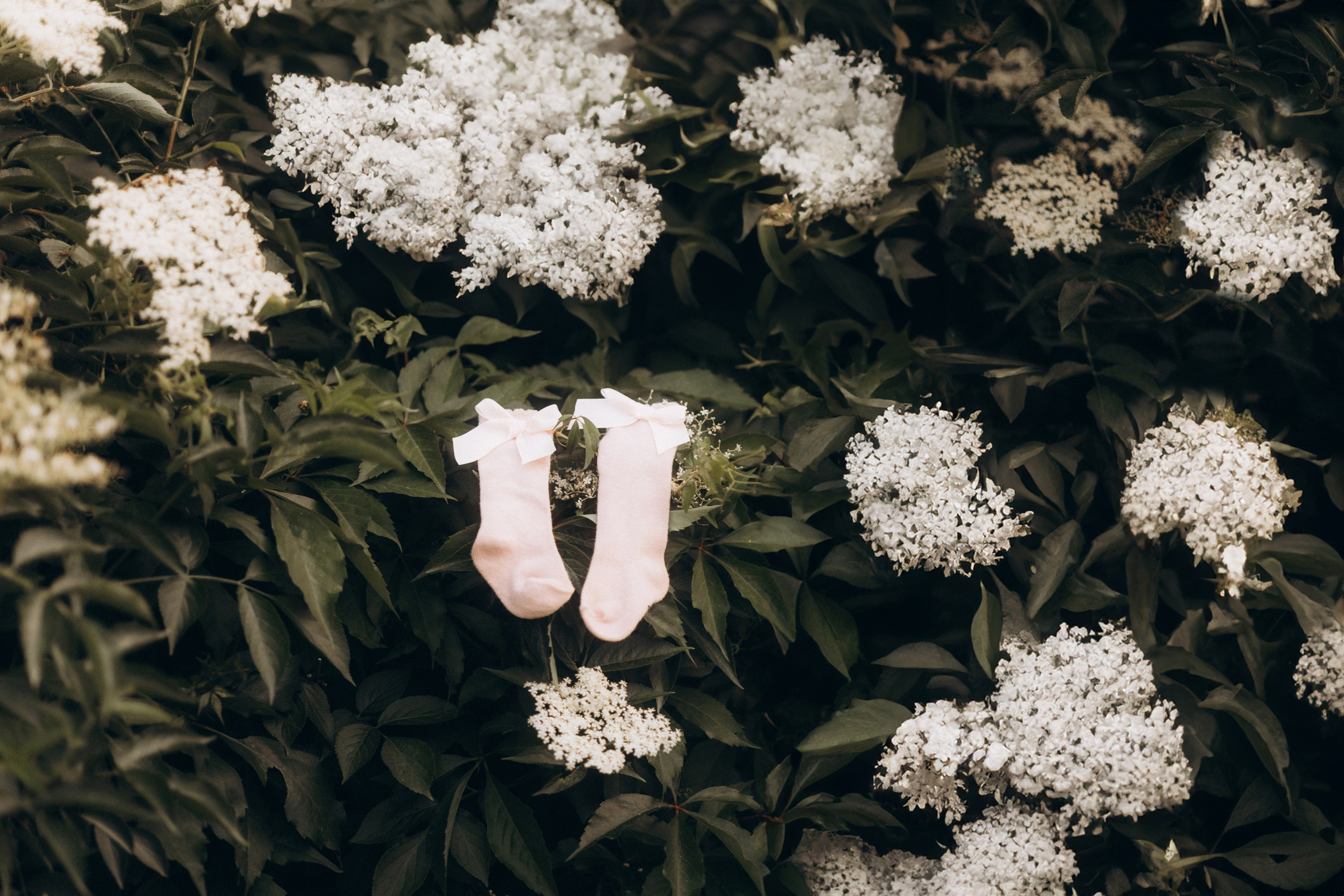 Liebe wächst. Julia Sööt Fotografie