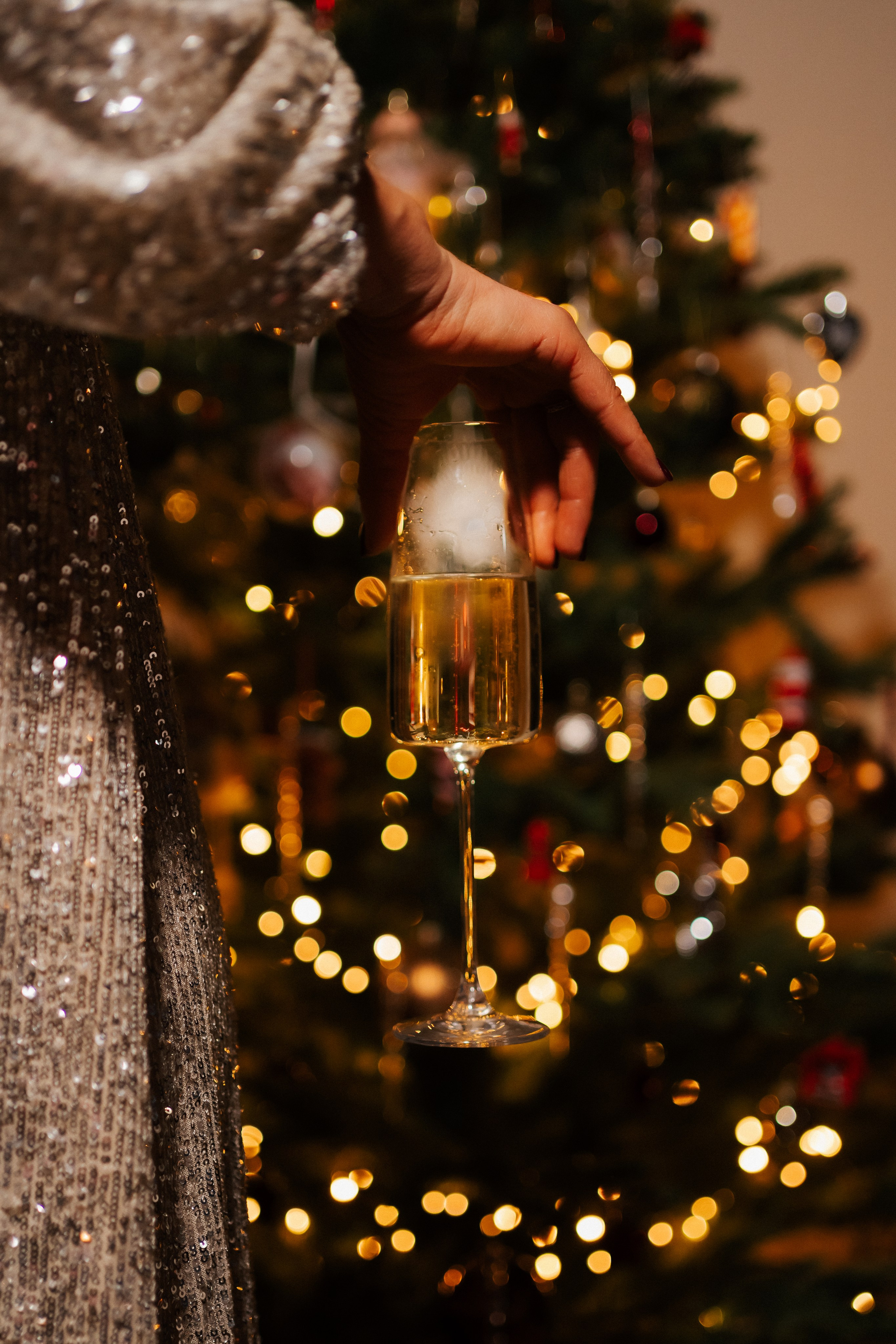 CHRISTMAS FAMILY. PHOTOGRAPHER|VIDEOGRAPHER MONTENEGRO