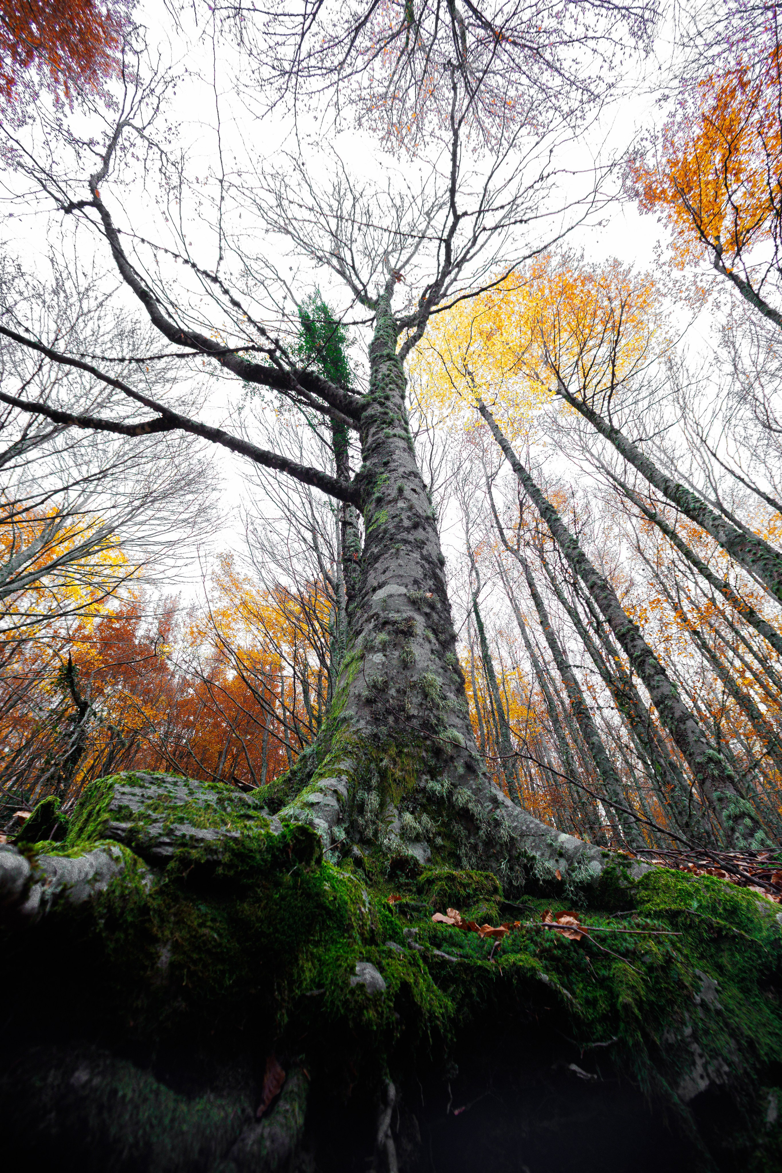 Paulo Marques Photography