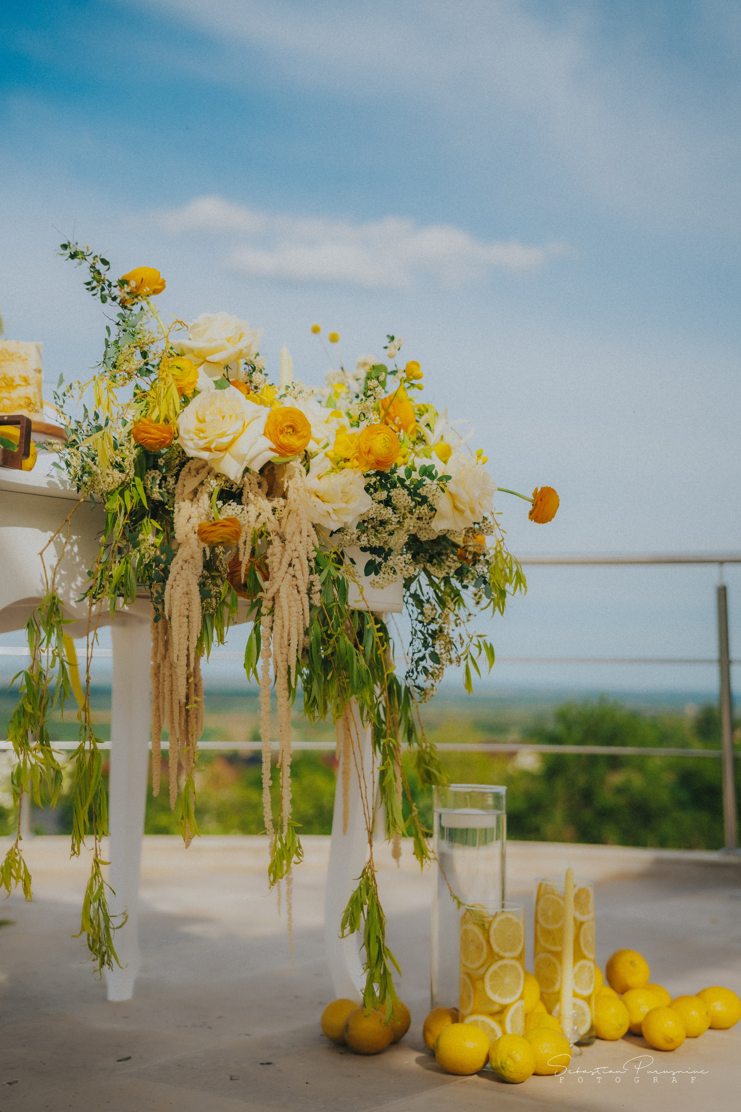 Love & Lemons. Sebastian Purusniuc Fotograf - Iasi