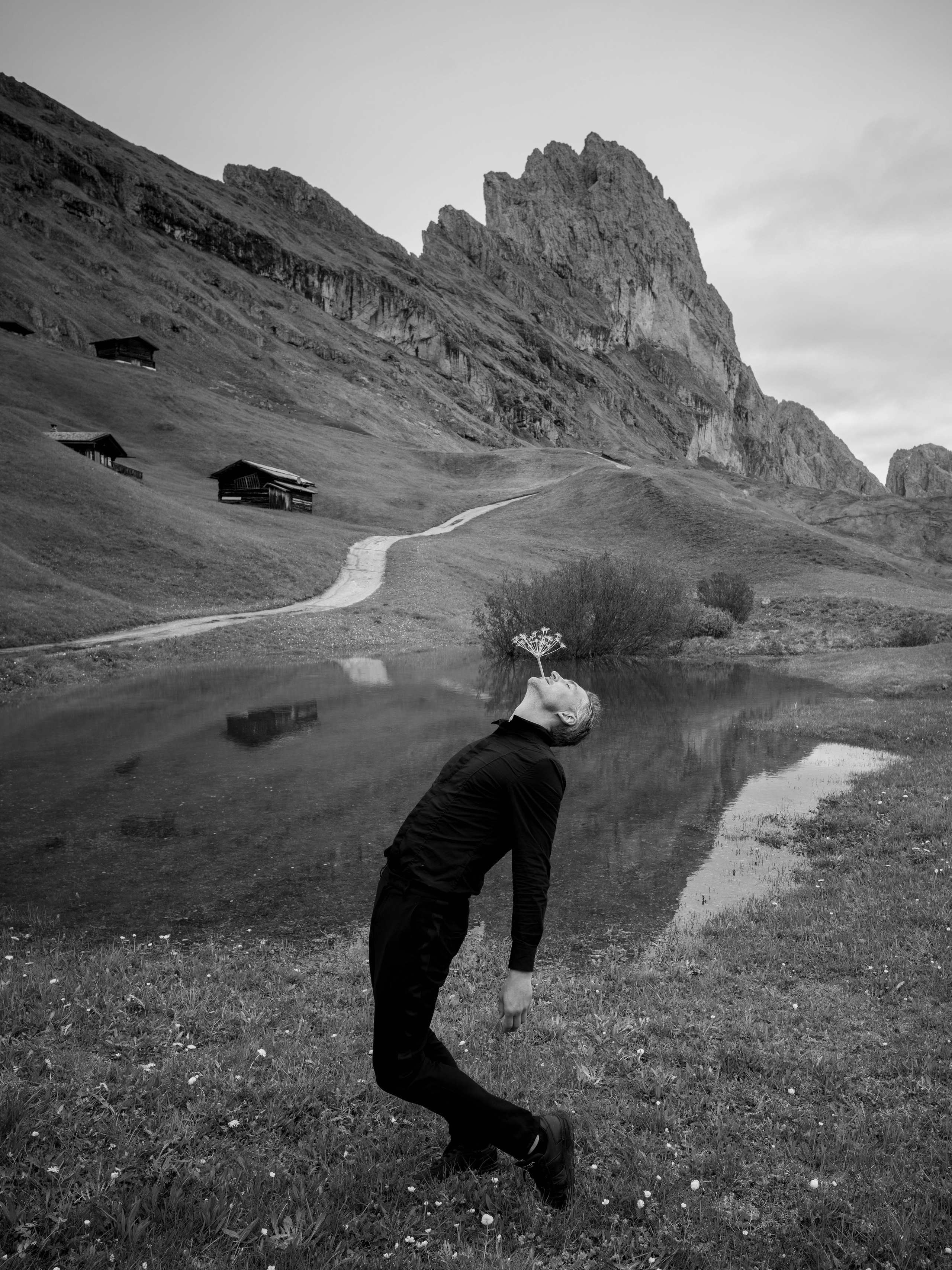 Seceda, the Dolomites