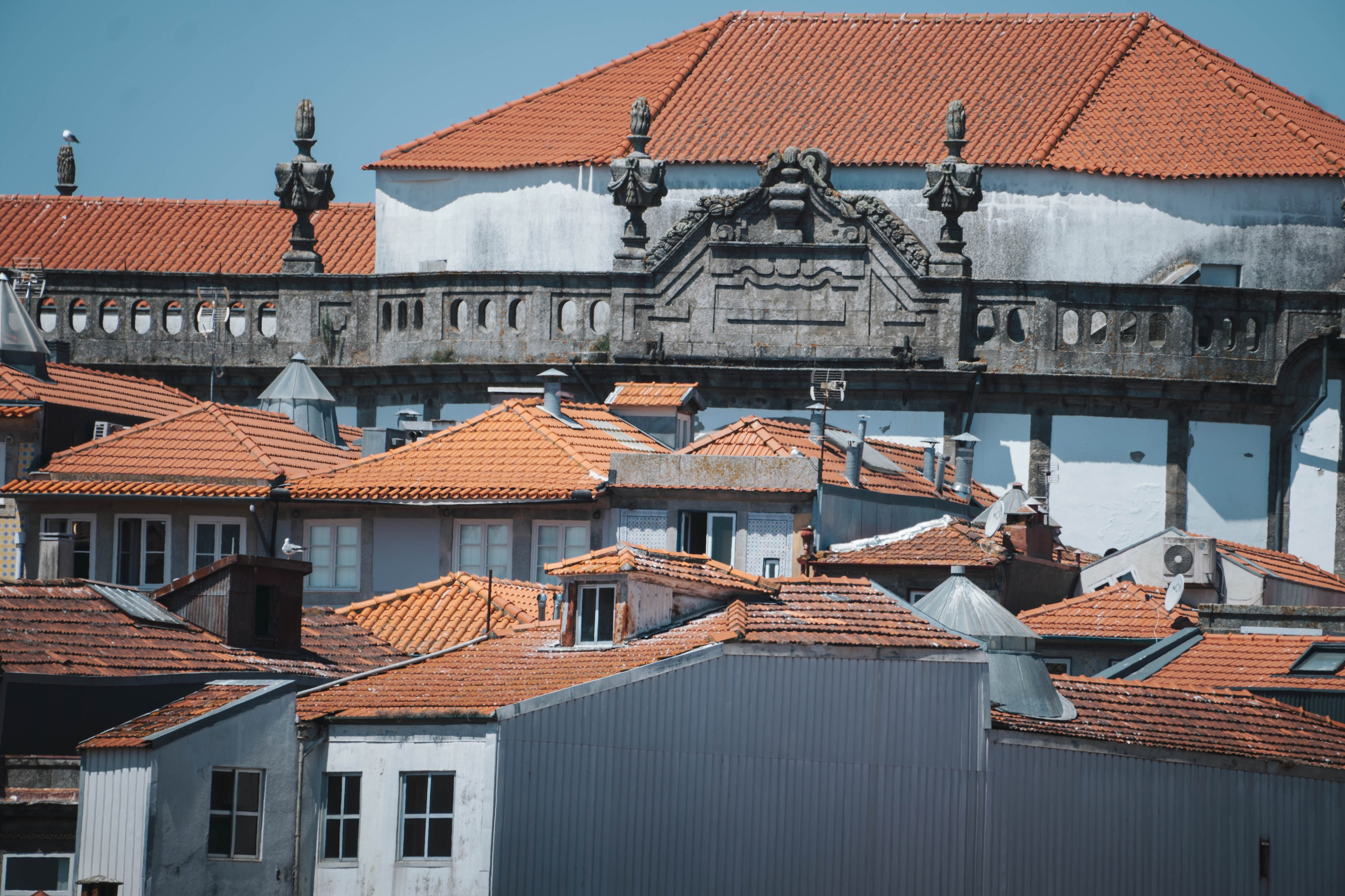 Porto, Agosto 2024. Alba del Norte Studio