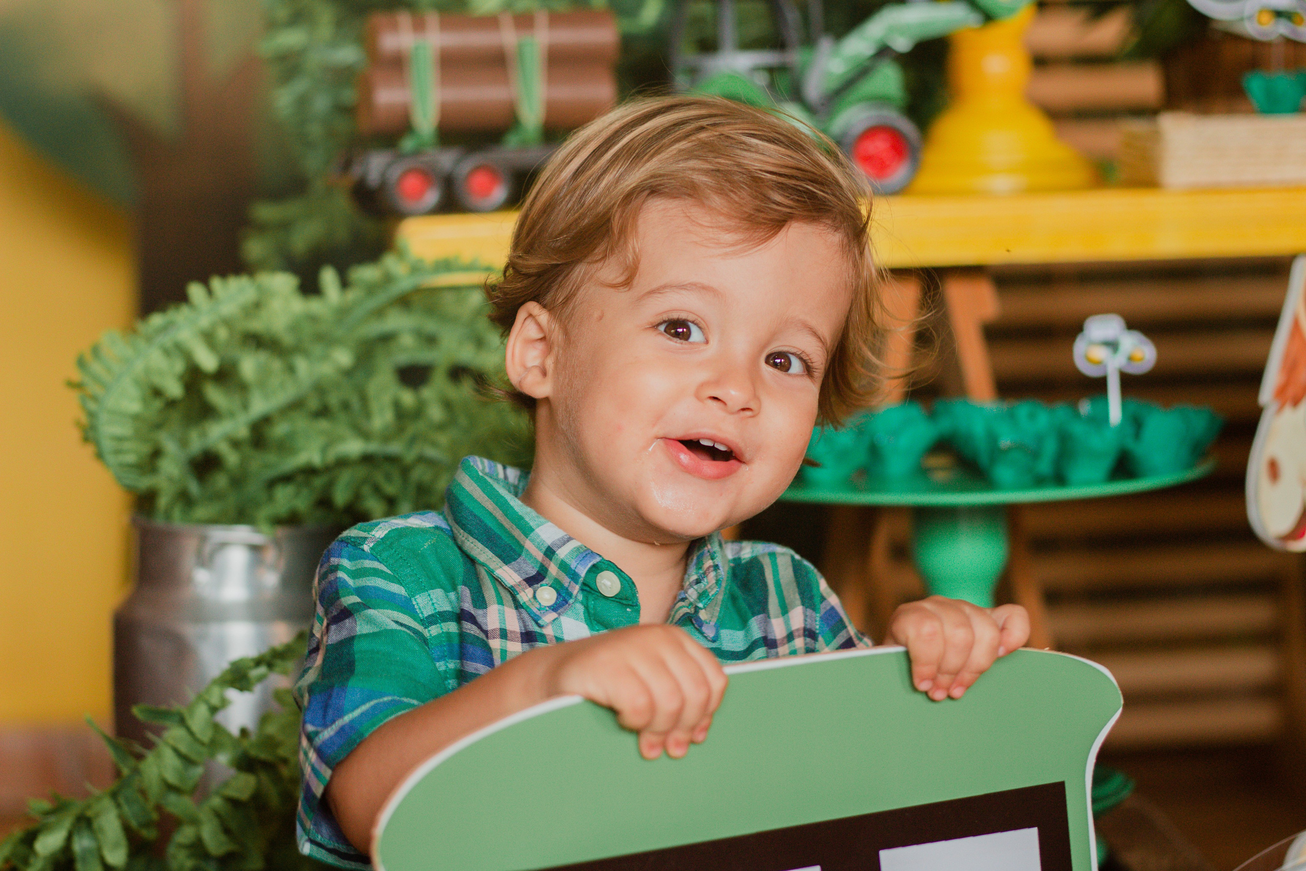 Fotografia de Aniversário Infantil em Holambra – Theo, 2 anos | Joyce Maria. Joyce Maria Fotografia | Fotógrafa em Holambra