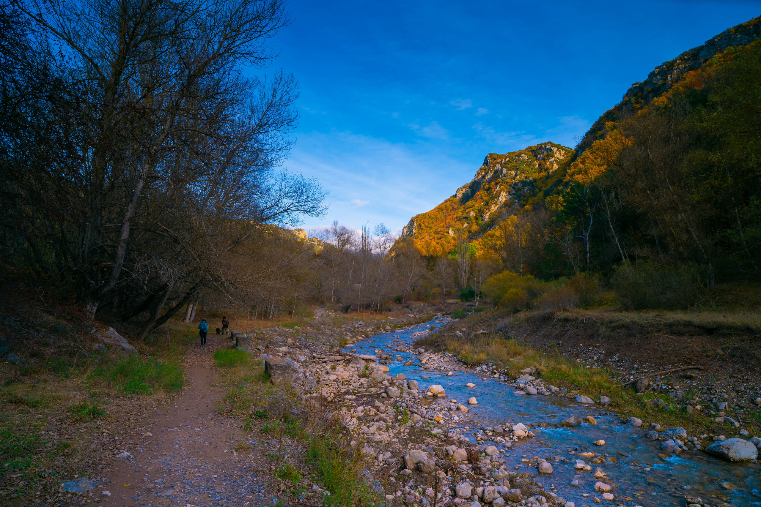 Ruta Otoño. Alba del Norte Studio