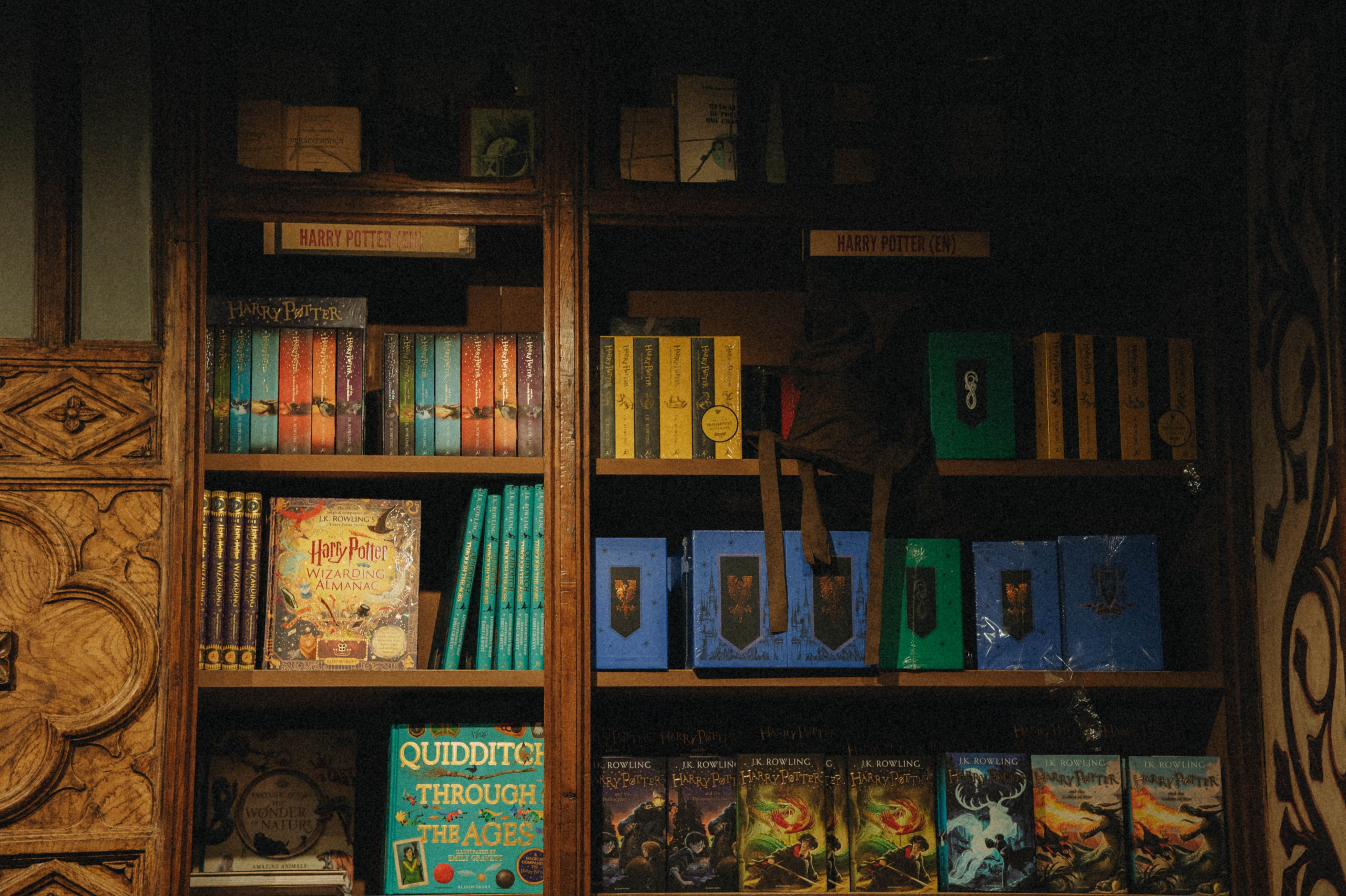 Librería Lello, Porto. Alba del Norte Studio