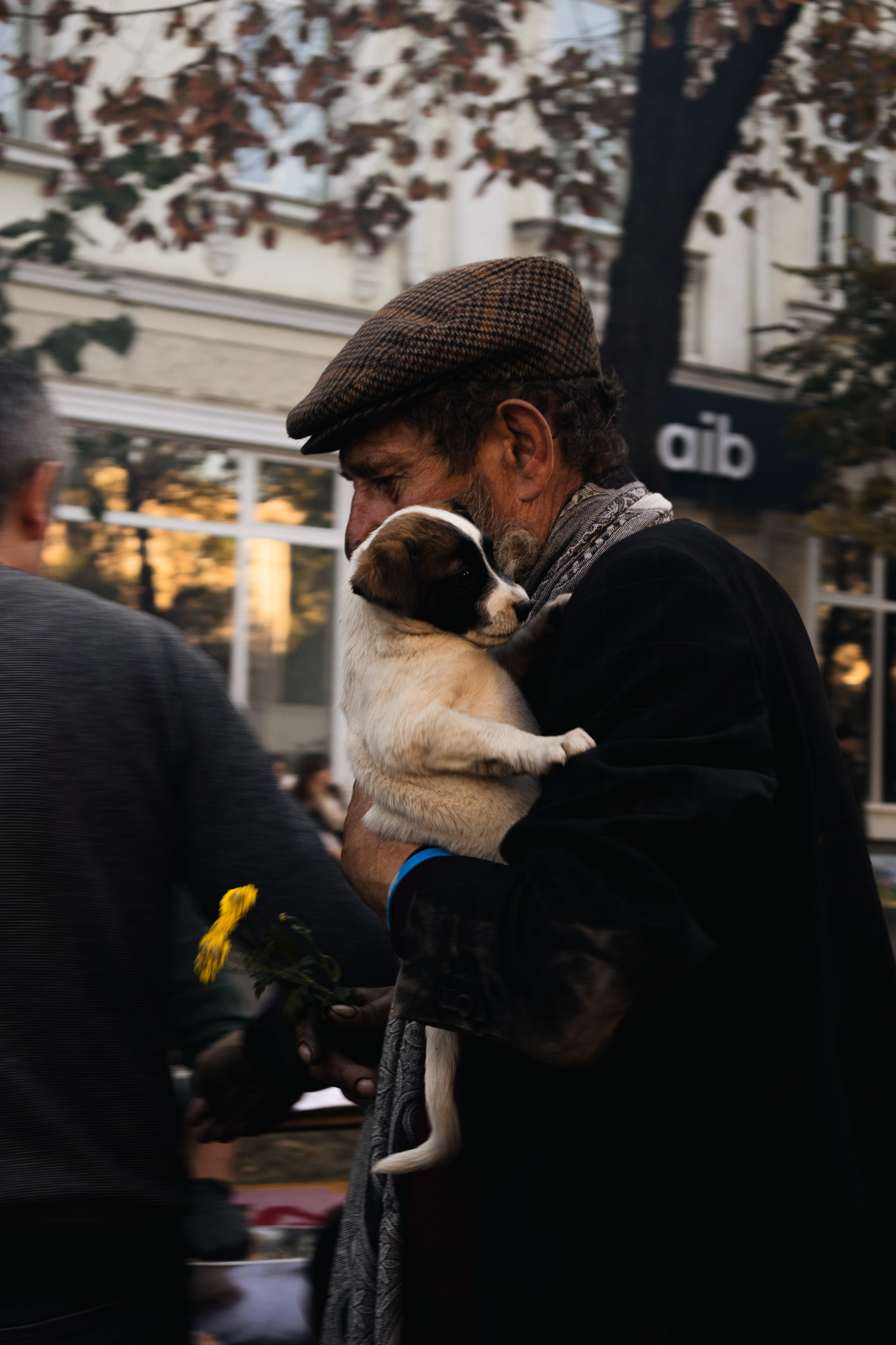 City Day Chișinău 2023. Дизайнер и Фотограф в Кишинёве Бусуйок Станислав