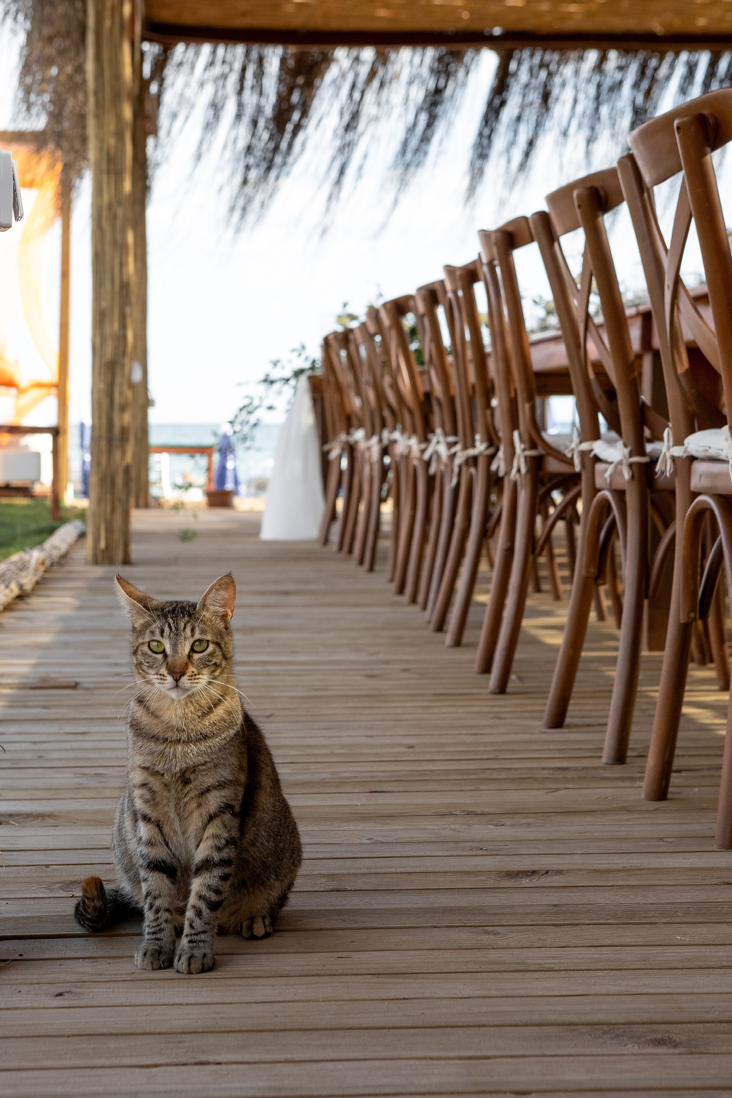 Нелли и Умут. Фотограф в Анталии, Кемере и Белеке
