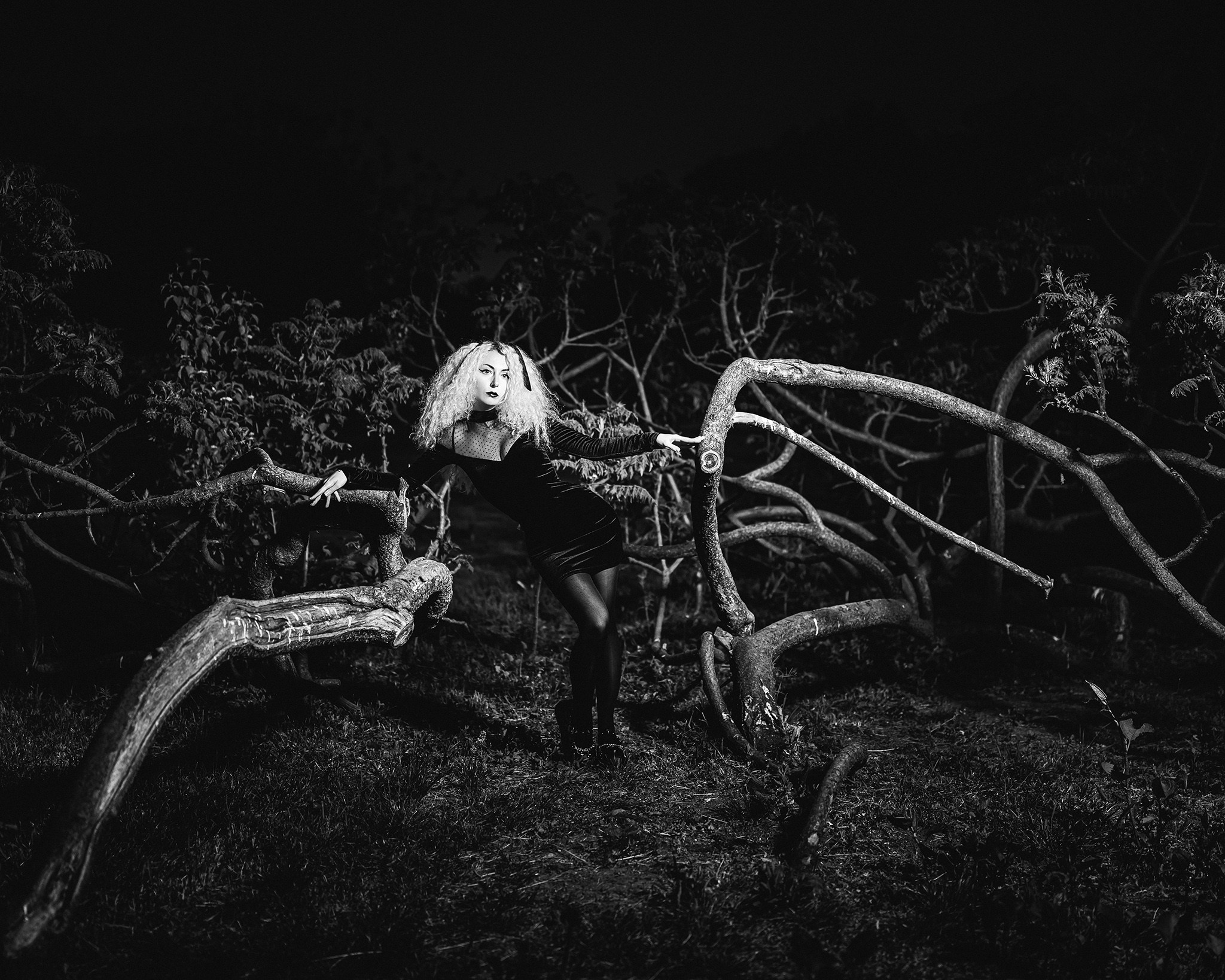 Portrait. Photography by Mircea Maieru