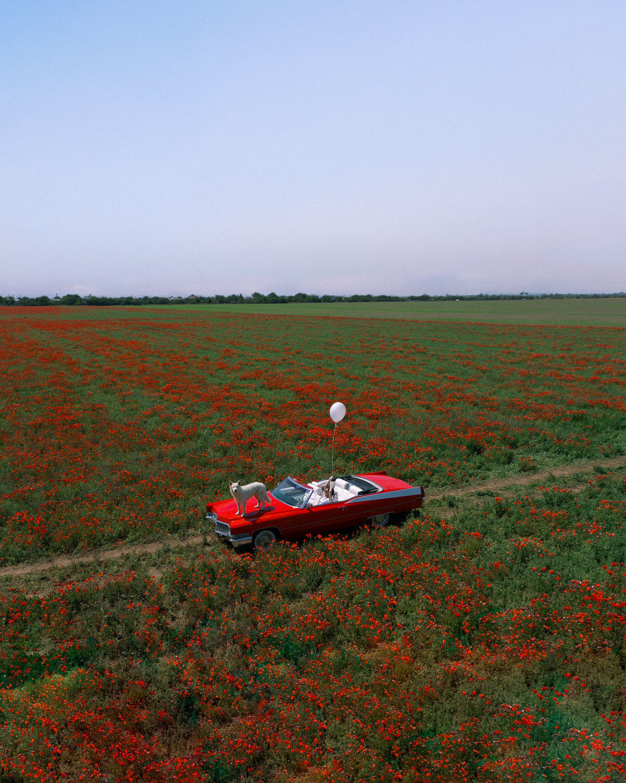 Photos of people by Maximus Mazar