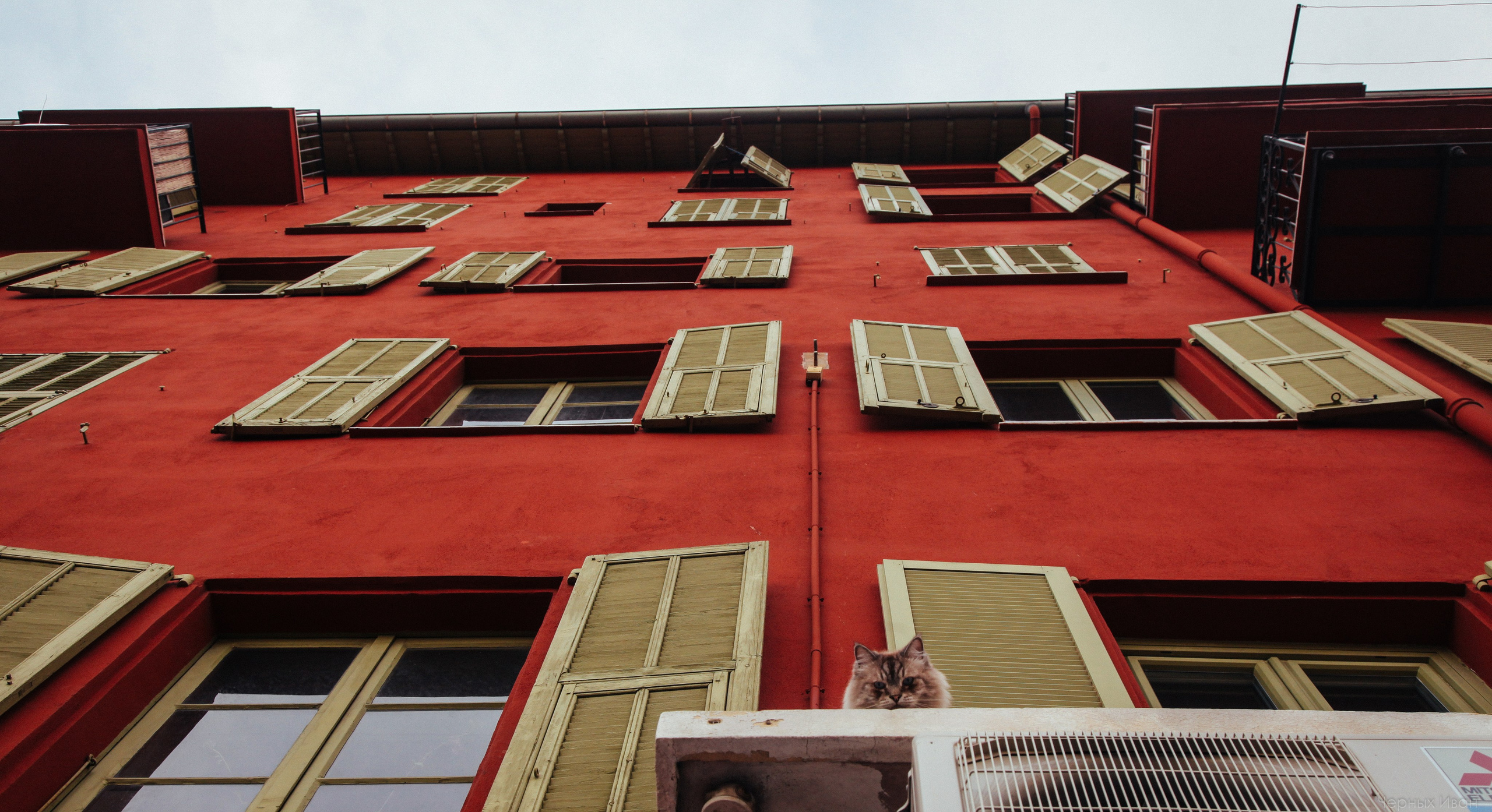 Кот шпедингера. Стрит-фотография, полная абсурда, идиотизма и красоты