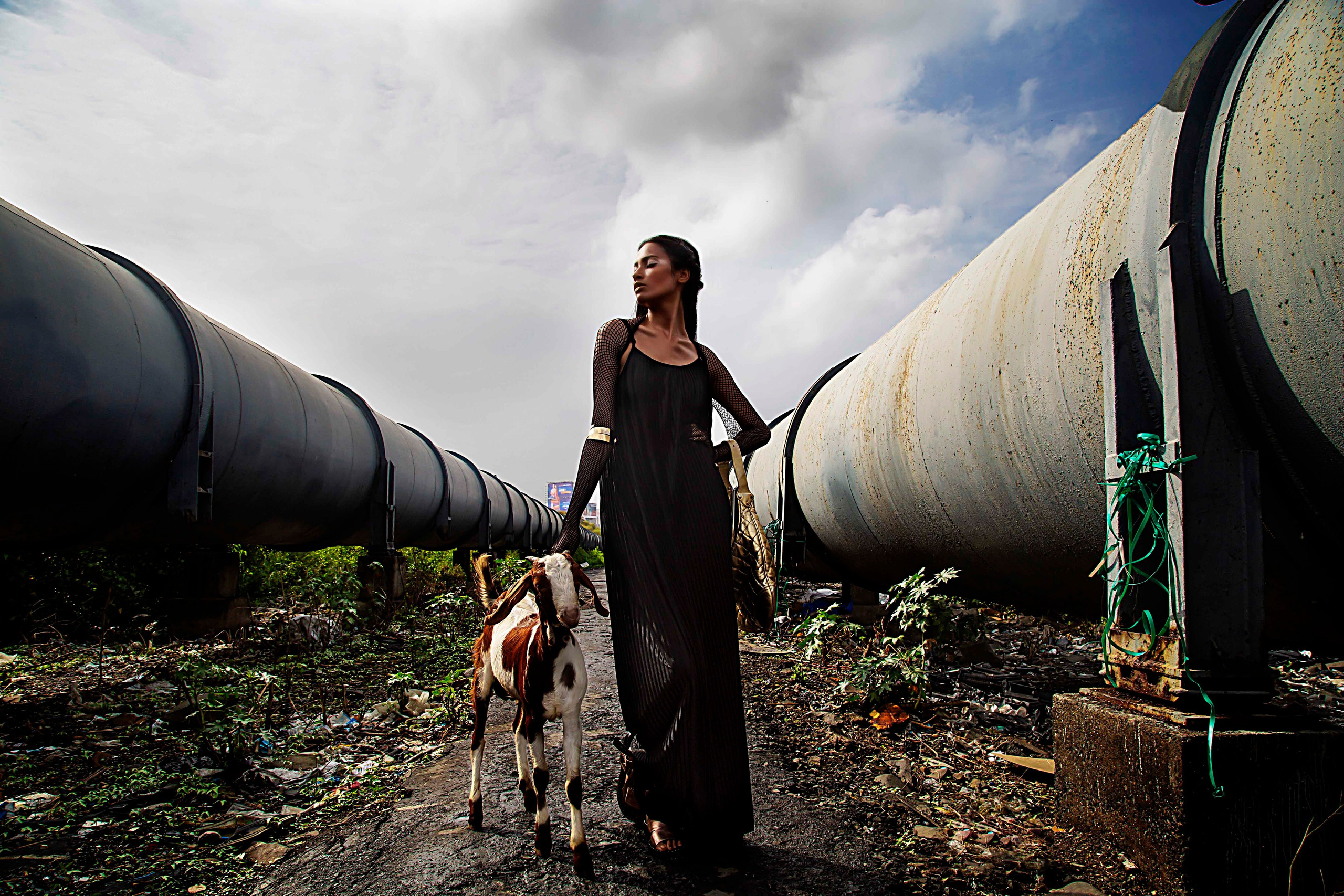 Mohit Holani | Director
