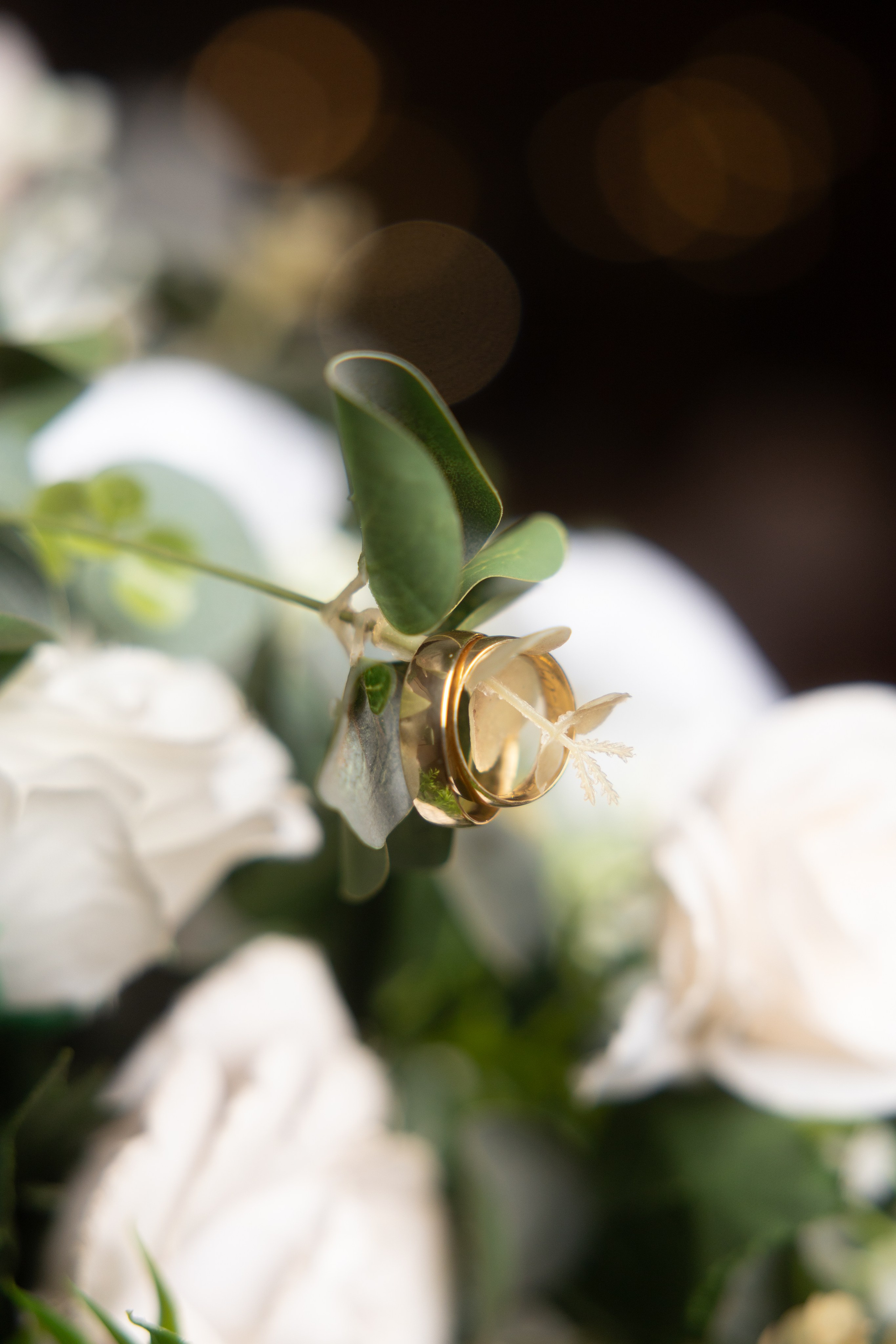 Casamento civil em Itumbiara-GO