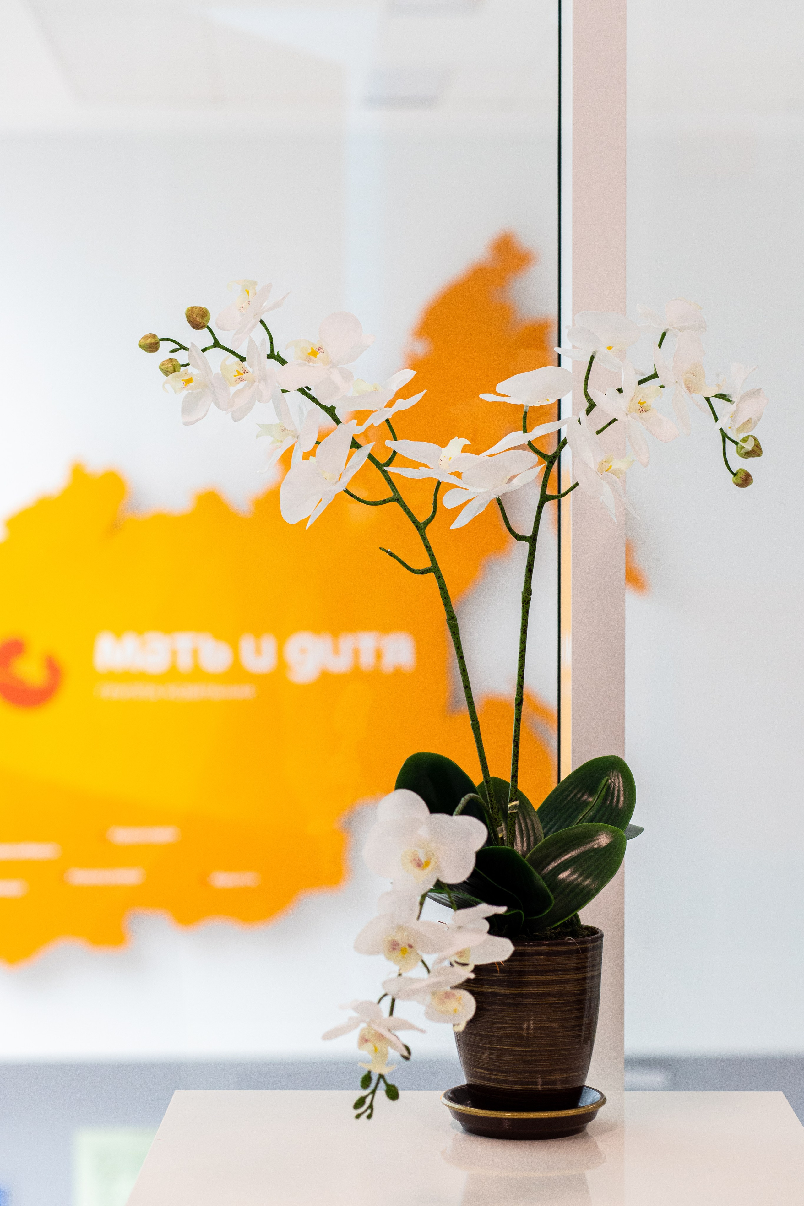 Business. Portrait and family photographer in Fort Collins Dania Gaisina