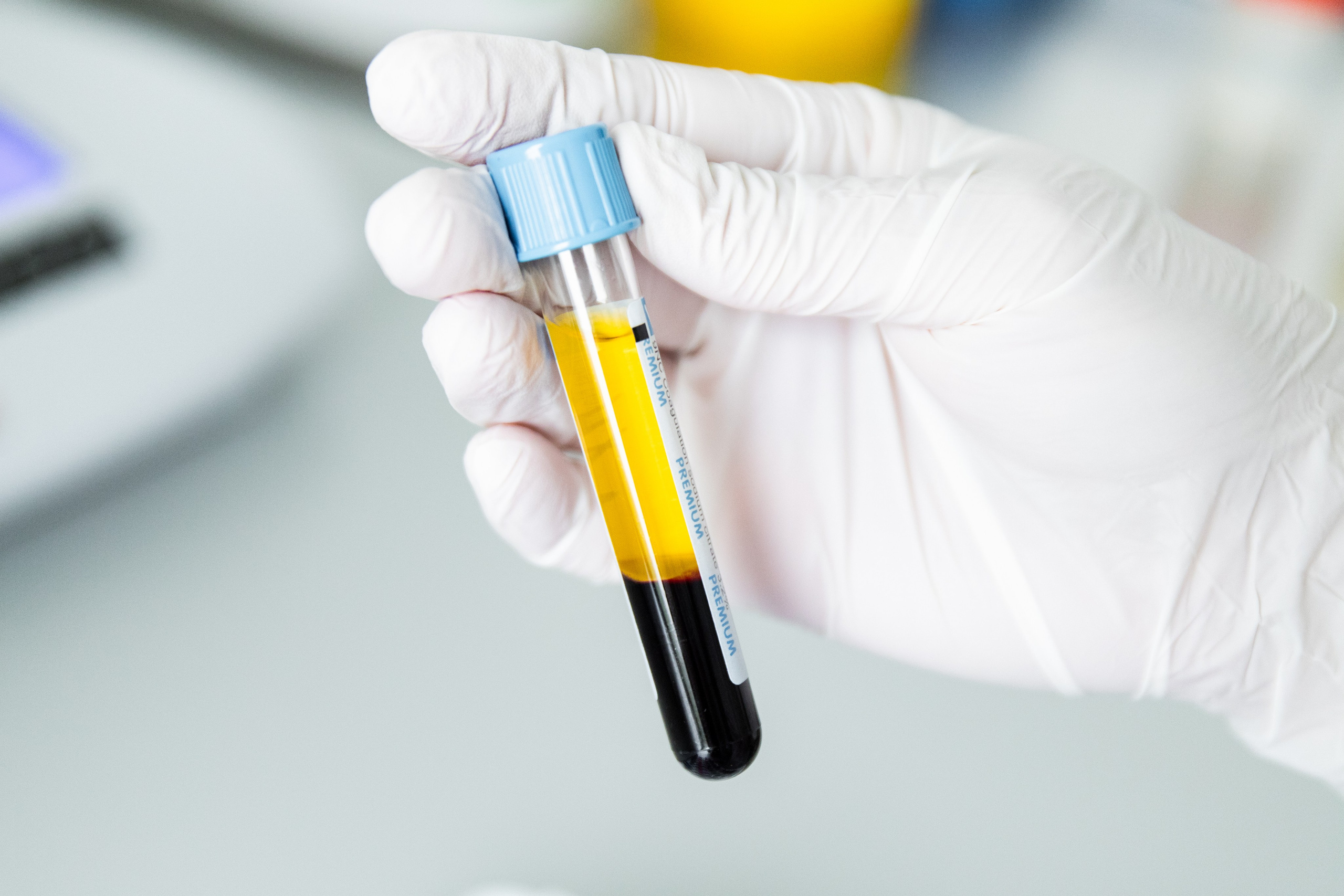 Business. Portrait and family photographer in Fort Collins Dania Gaisina