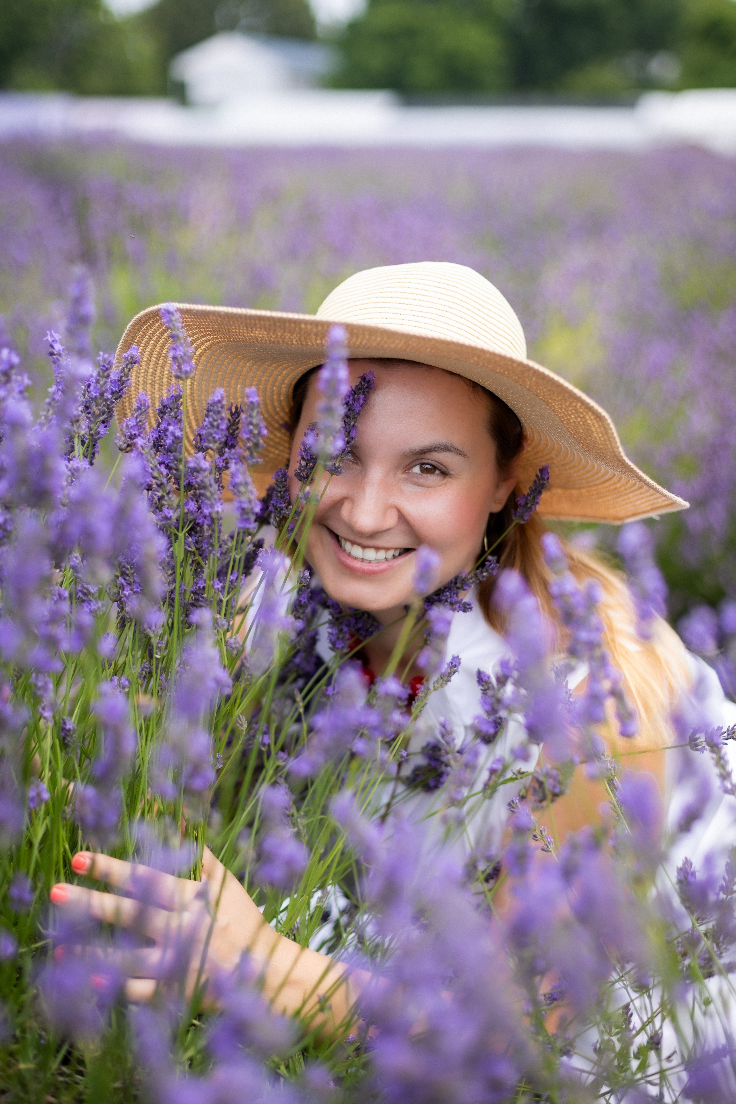 Лаванда. Фотограф в Нью Йорке