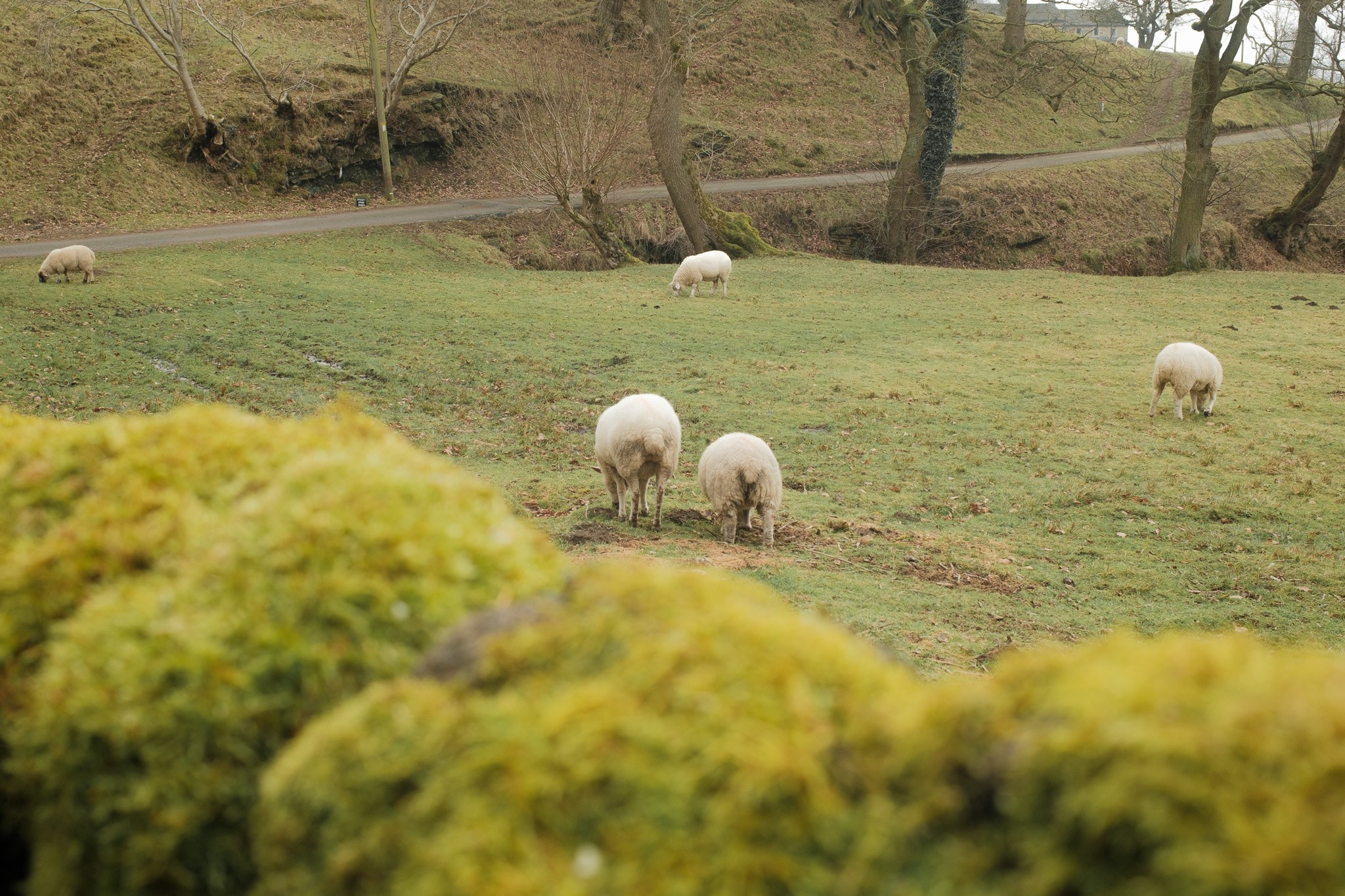 Peak District 2024. Cal Takes Photos