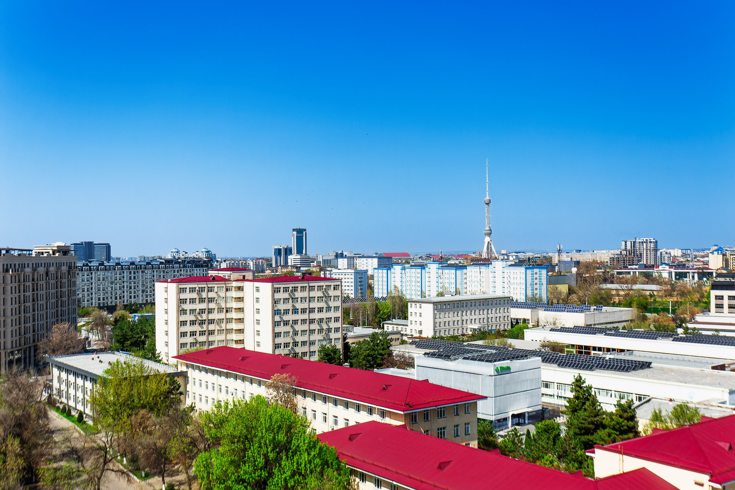 Аренда апартаментов в Ташкенте, Узбекистан — посуточно. Аренда квартир и апартаментов посуточно в Ташкенте, Узбекистан — Хаким