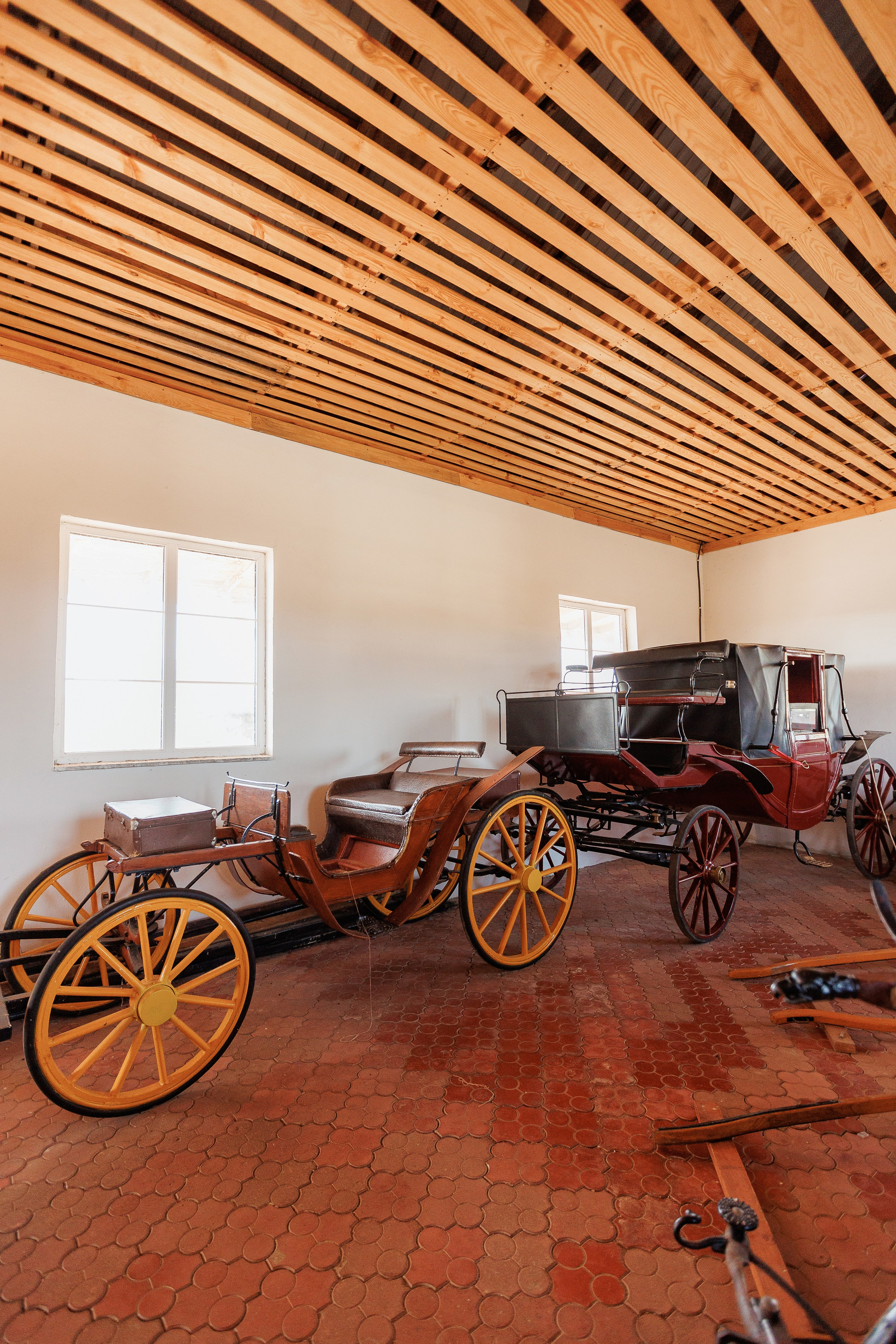 Екопарк Аміла. Ірина Терещук