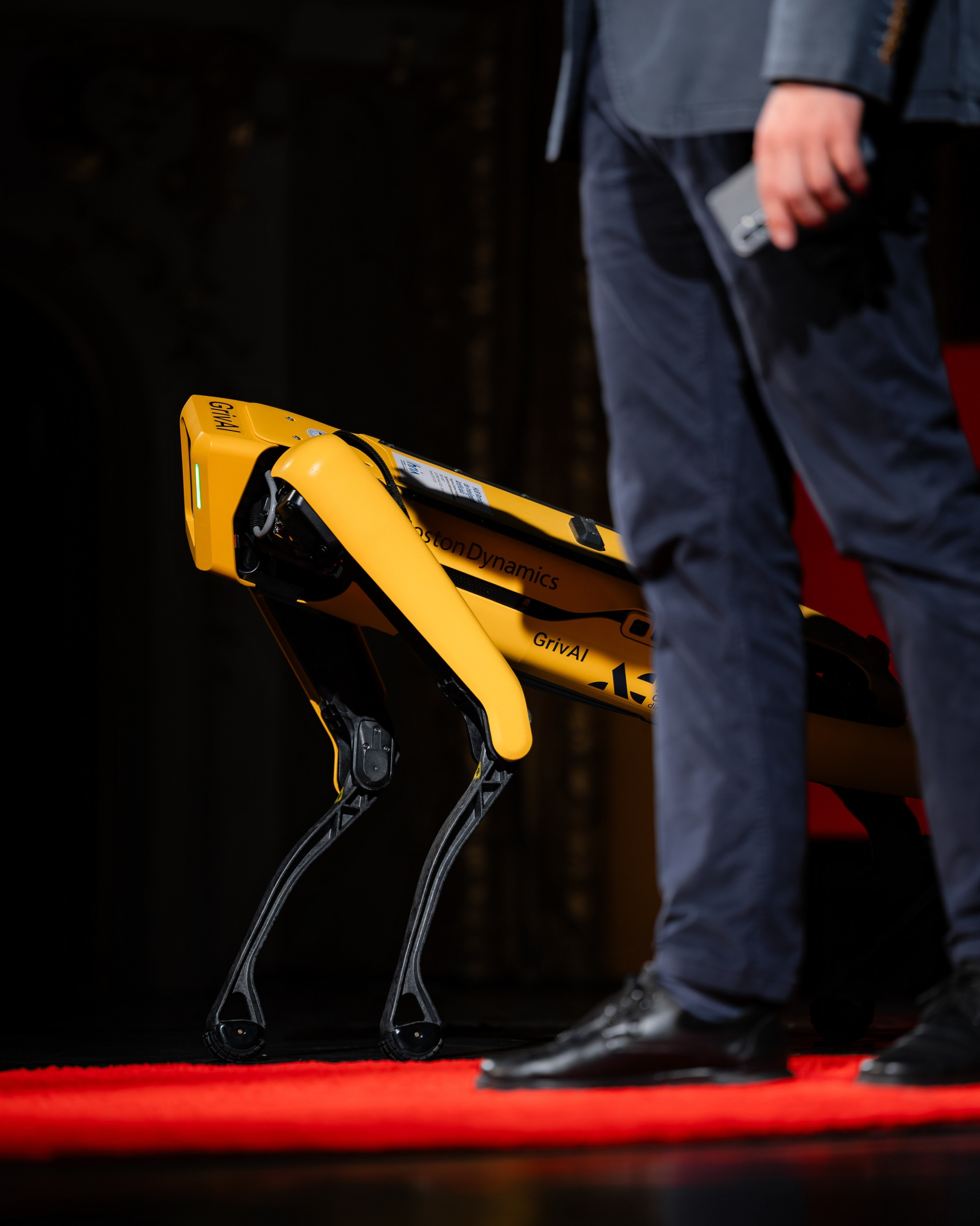 TedX Iași. Marius Ciocan