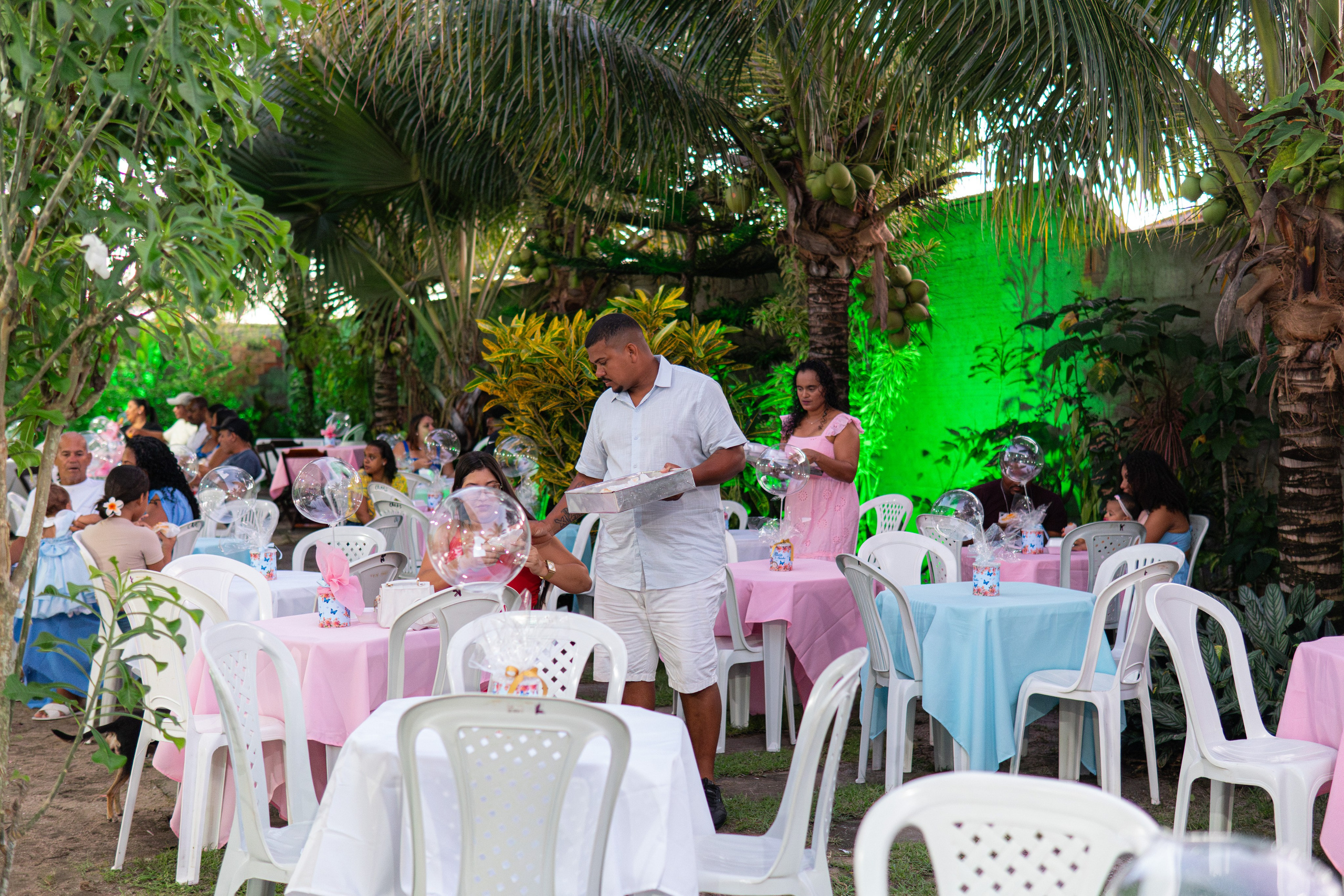 Festa Alicia