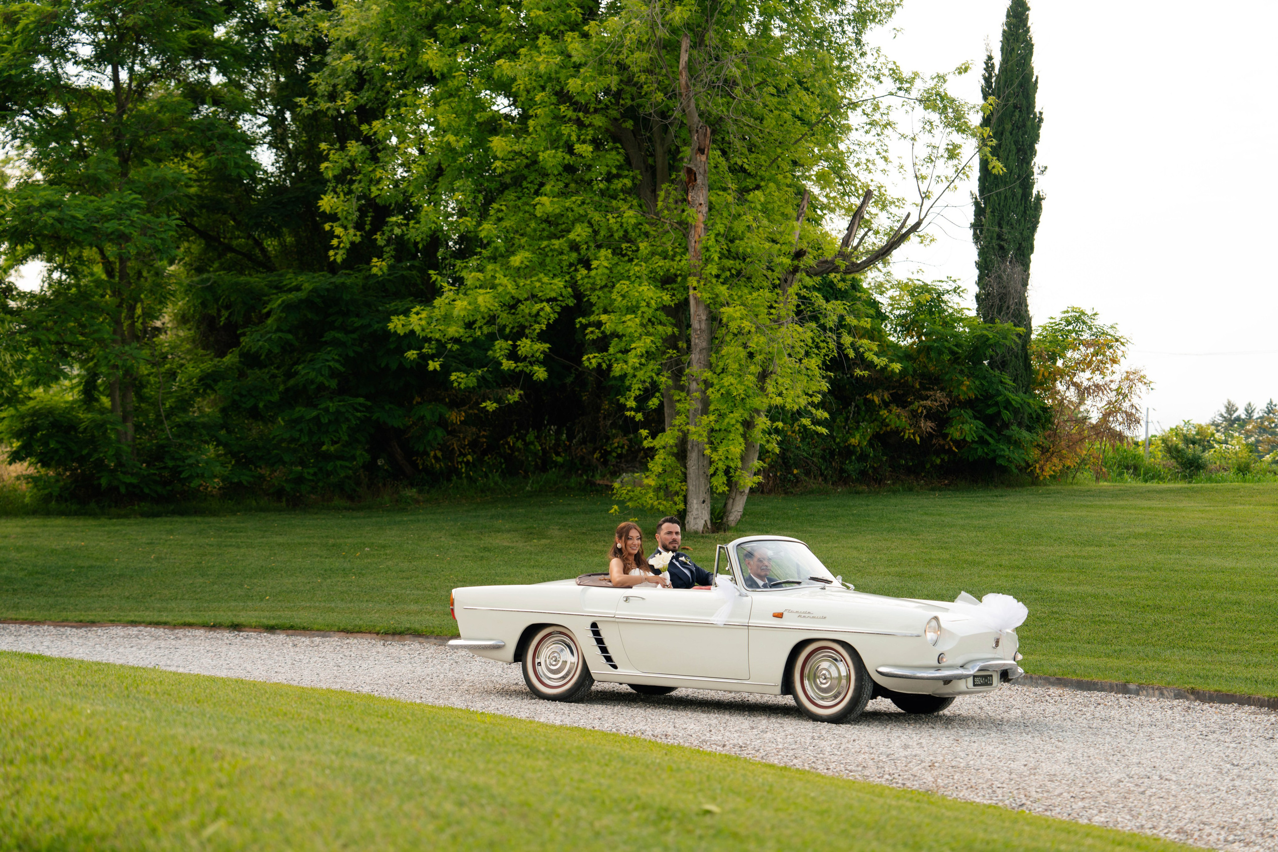 An Evening of Elegance and Extraordinary Performances. Ioana Timis