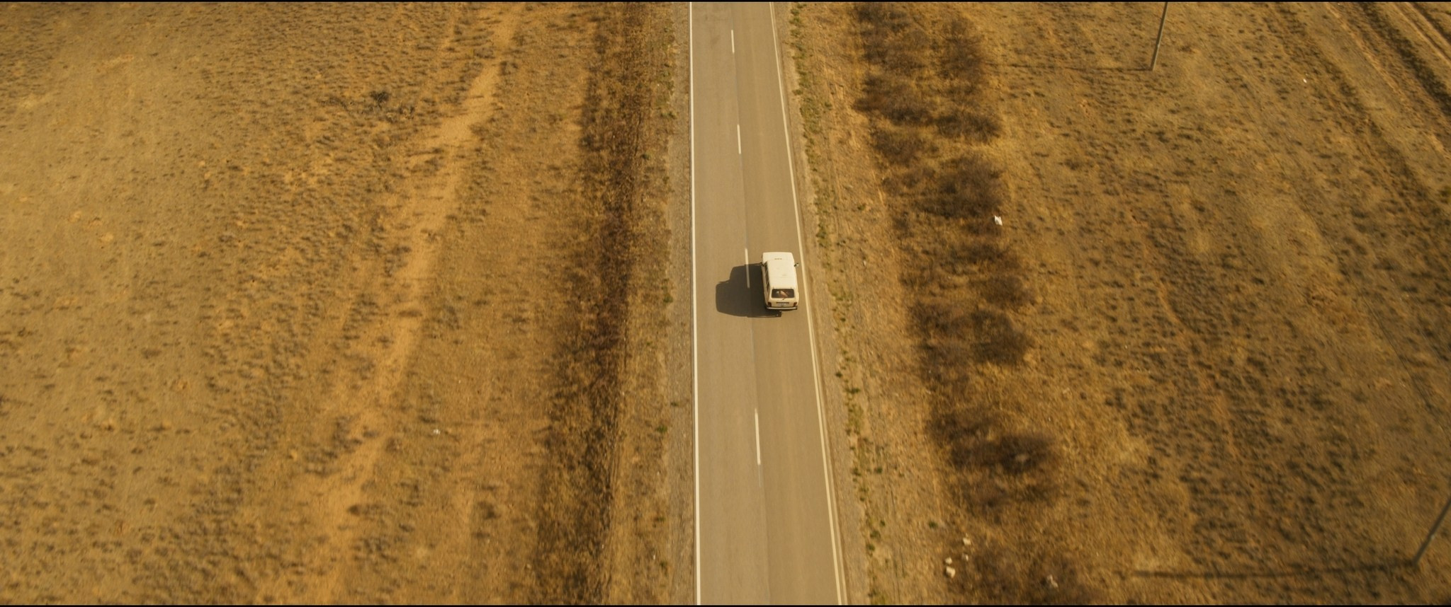 Kosmicheskaya sobaka Lida | Film. Ilia Ivanov