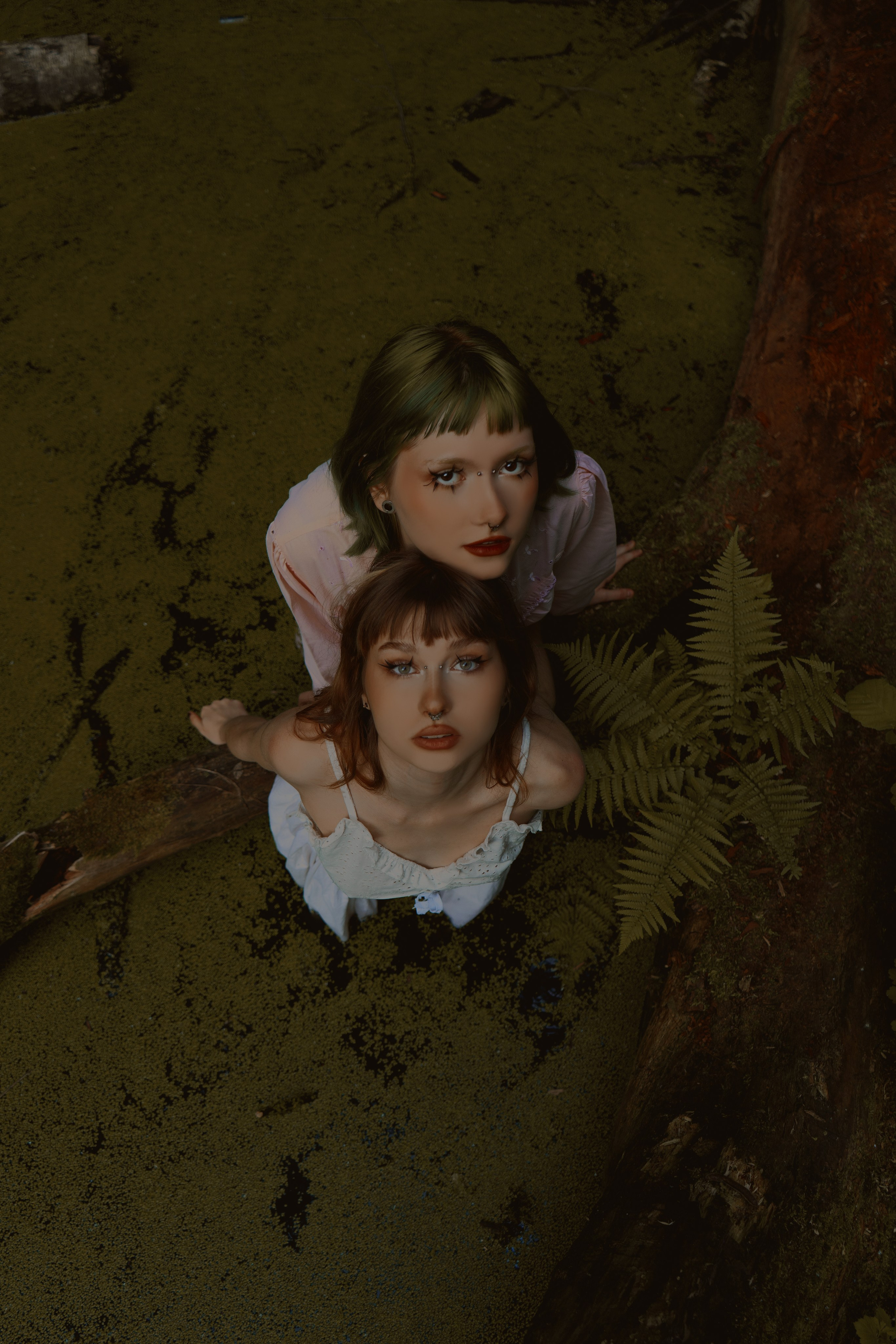 Nature. RRproduction