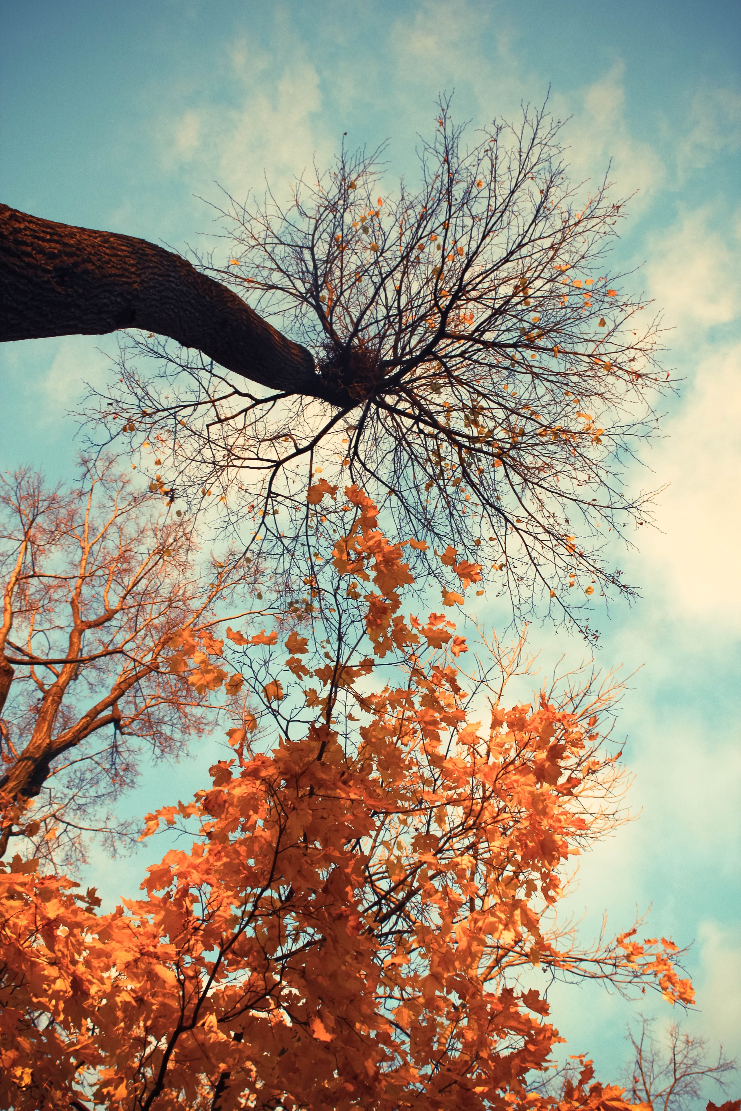 2013. Стрит-фотография, полная абсурда, идиотизма и красоты