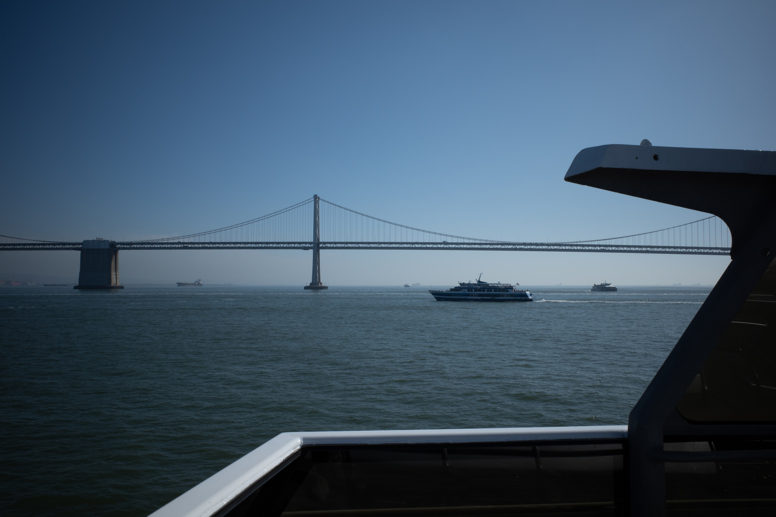 San Francisco. Aleks.photo | Book a photoshoot