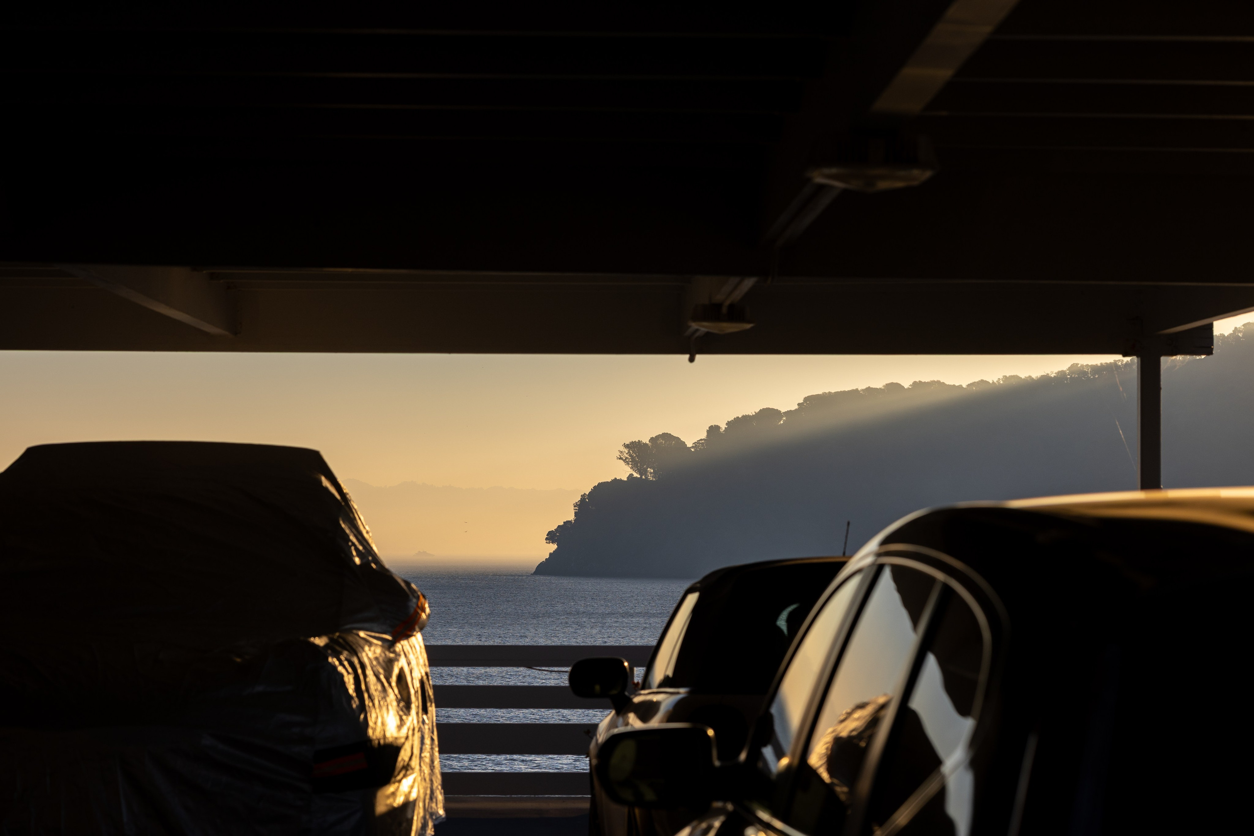 San Francisco. Aleks.photo | Book a photoshoot