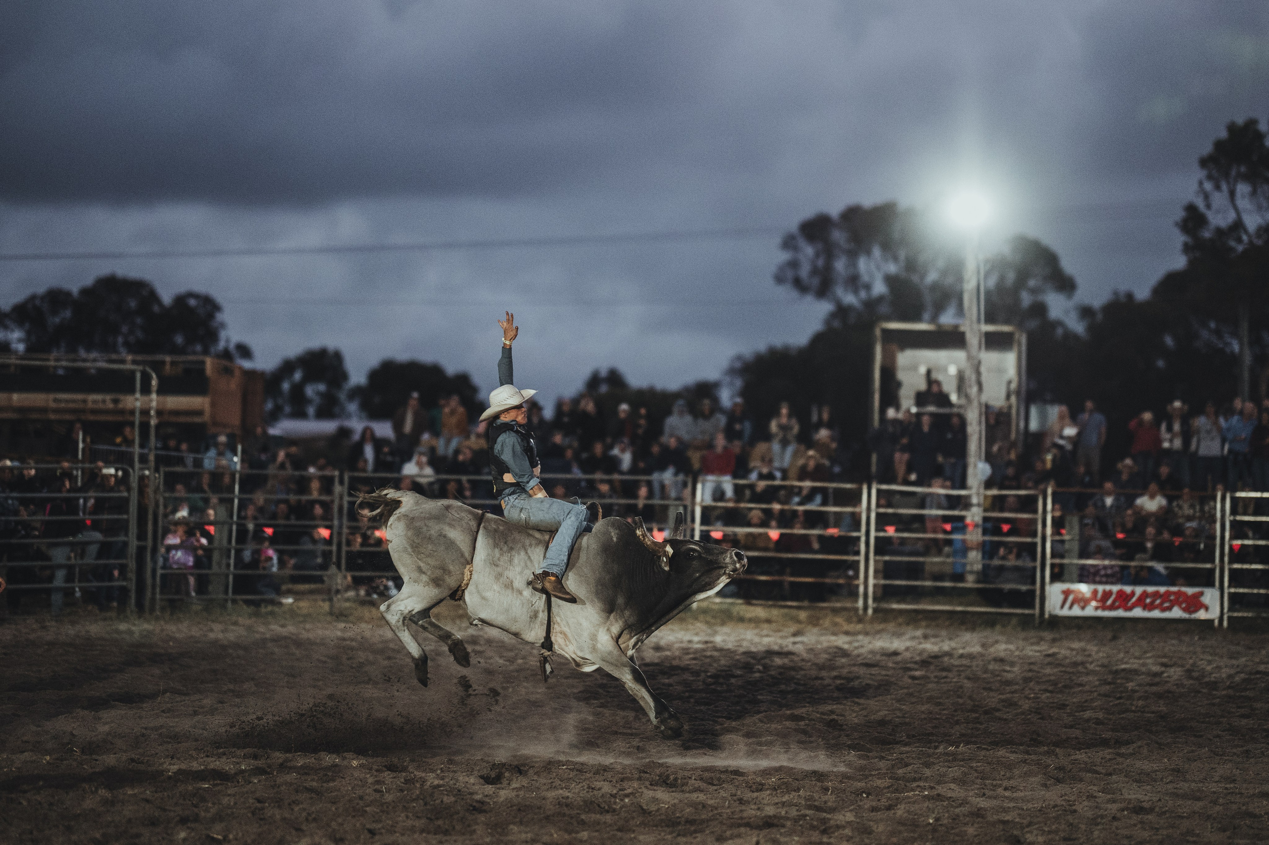 Selection of photos from different rodeos