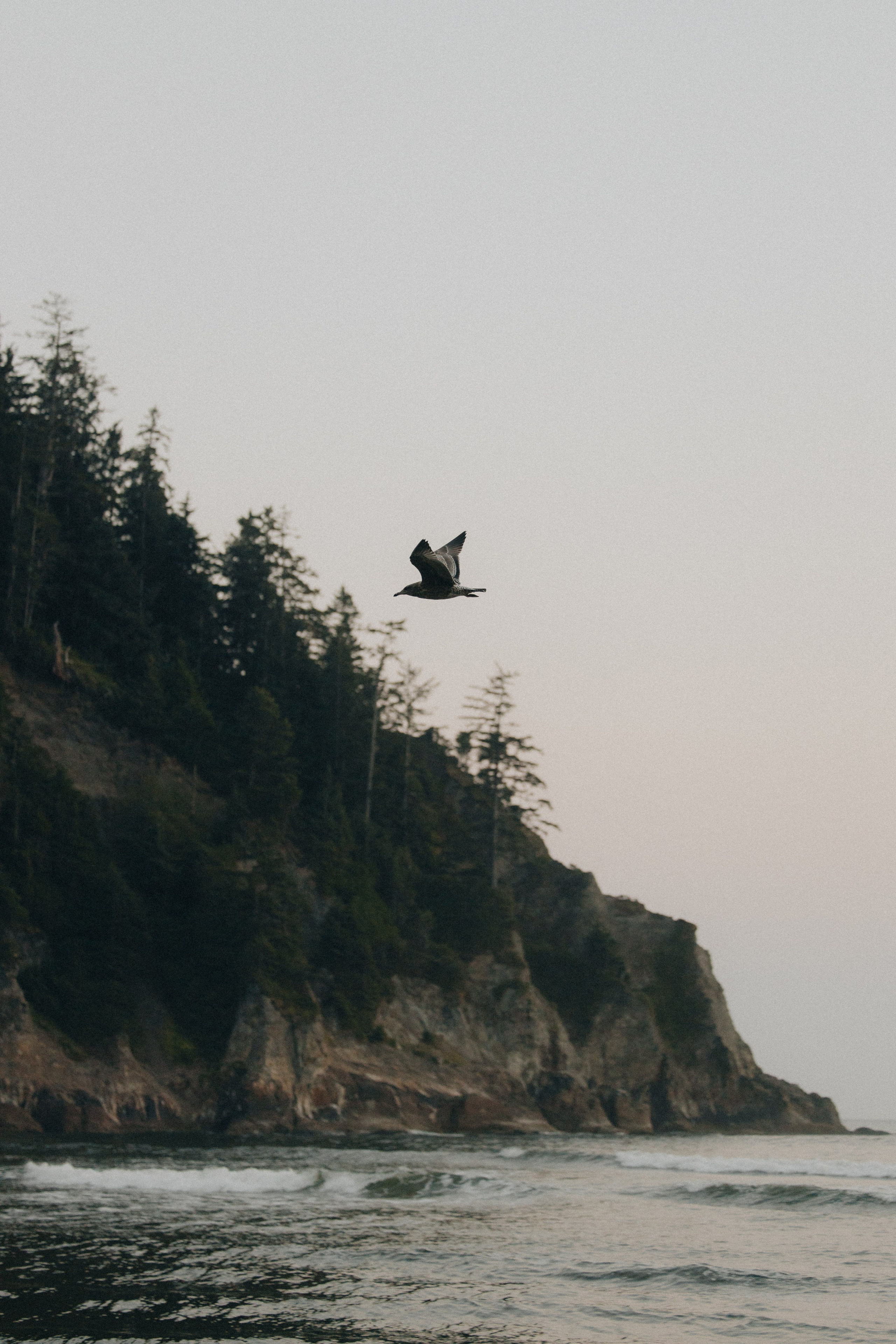 Engagement Photography at Cannon Beach | Jessie & Isaac's Session by Georgy Shishkin | Capturing Moments in Portland, Seattle, Bend & Oregon. Capturing Love in the Heart of the Pacific Northwes