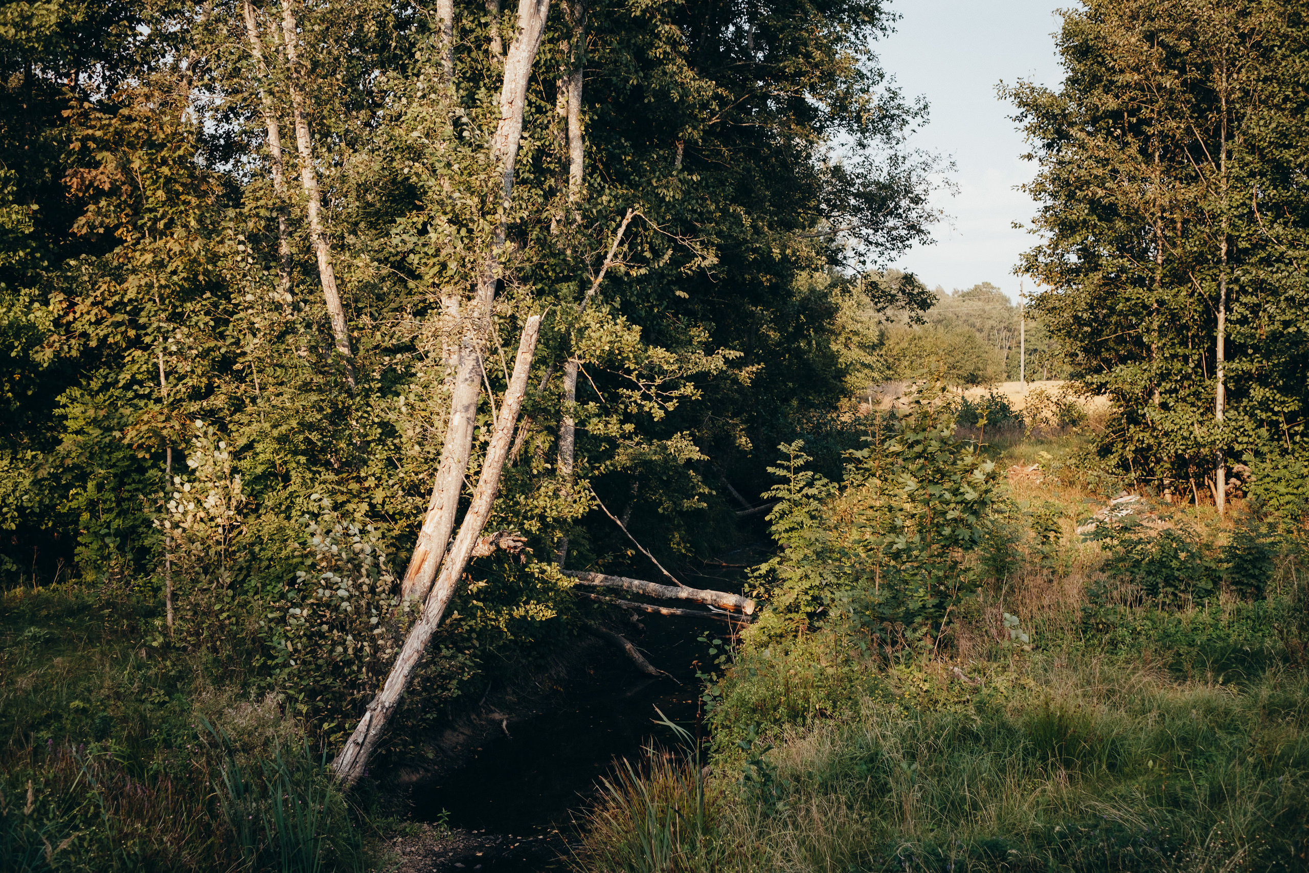 Kāzu stāsts Madara & Ingus. Kāzu × Ģimenes notikumu fotografs Edgars Kalniņš
