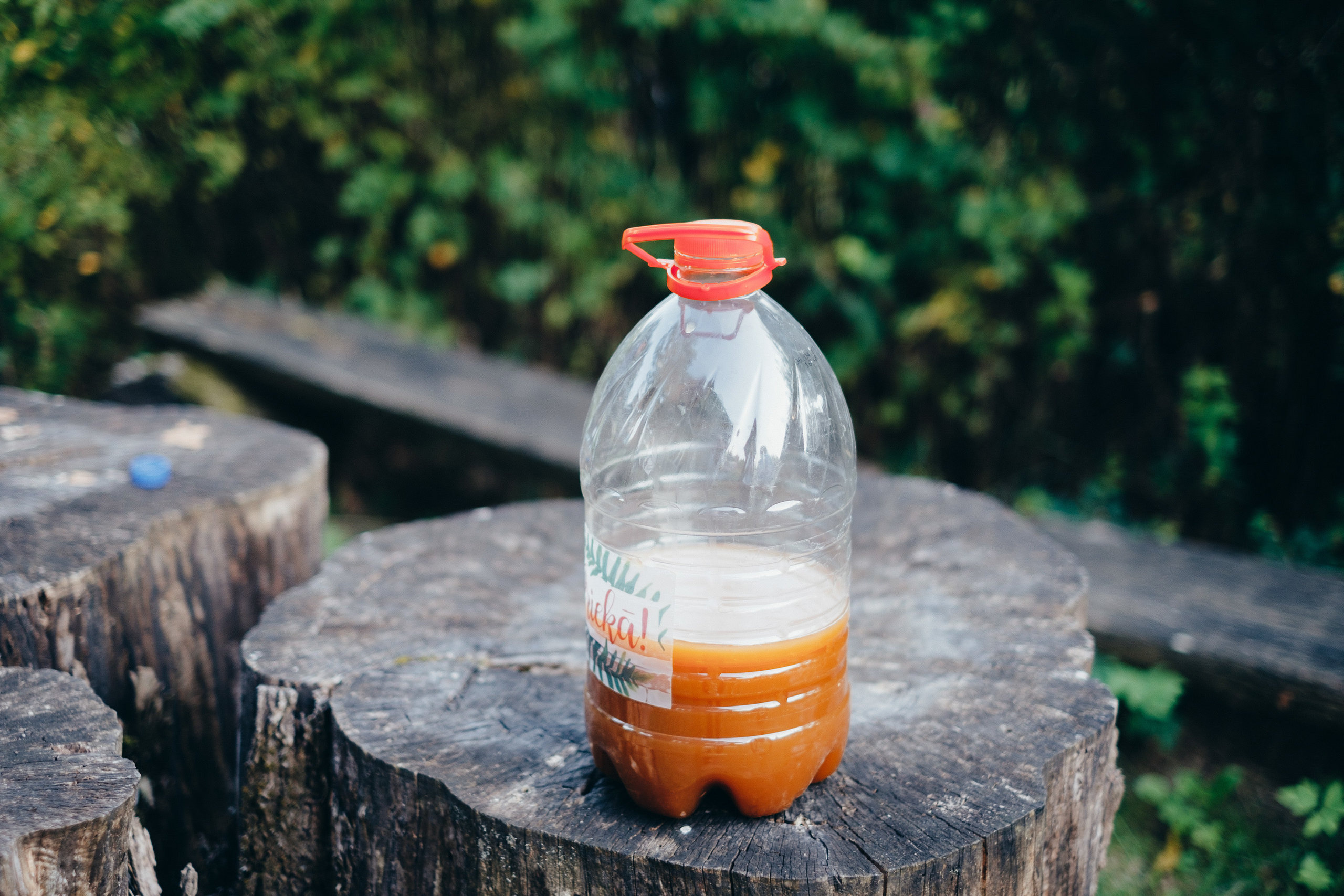 Kāzu stāsts Madara & Ingus. Kāzu × Ģimenes notikumu fotografs Edgars Kalniņš