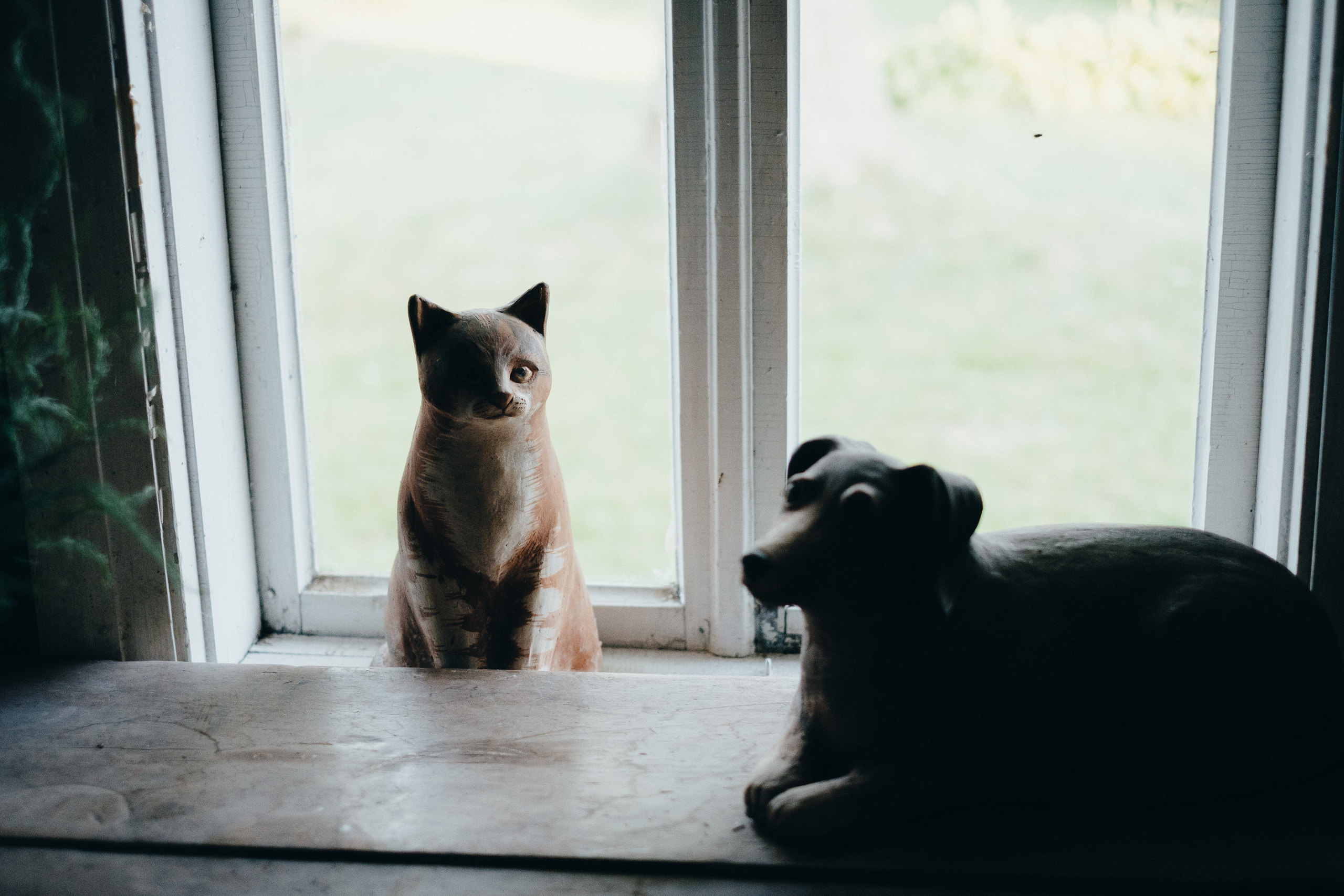 Kāzu stāsts Madara & Ingus. Kāzu × Ģimenes notikumu fotografs Edgars Kalniņš
