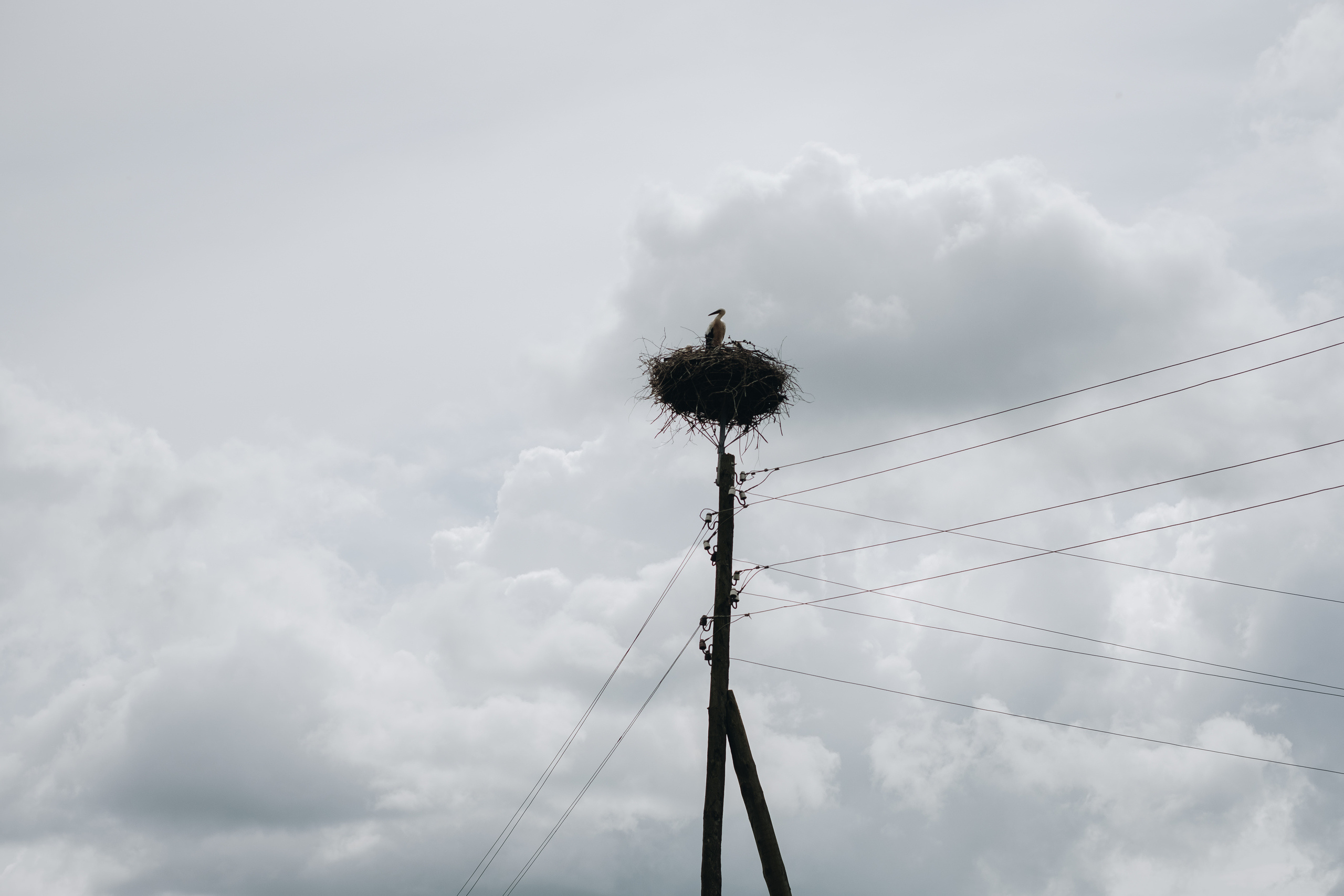 Kāzu stāsts Henrijs & Kristīne. Kāzu × Ģimenes notikumu fotografs Edgars Kalniņš