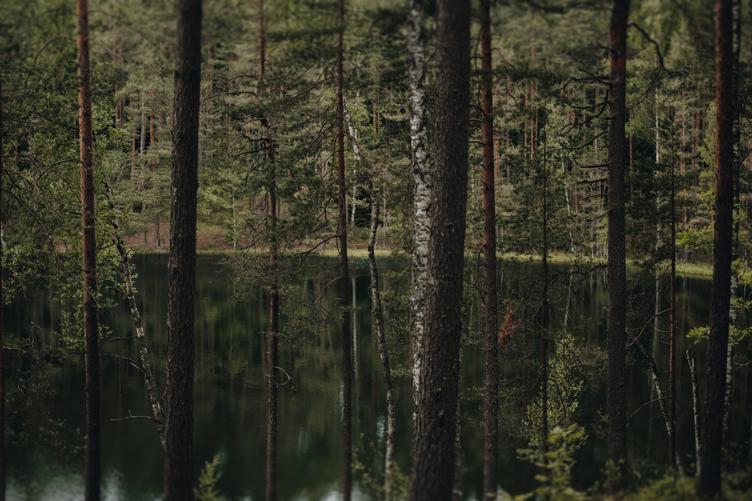 Kāzu stāsts Henrijs & Kristīne. Kāzu × Ģimenes notikumu fotografs Edgars Kalniņš