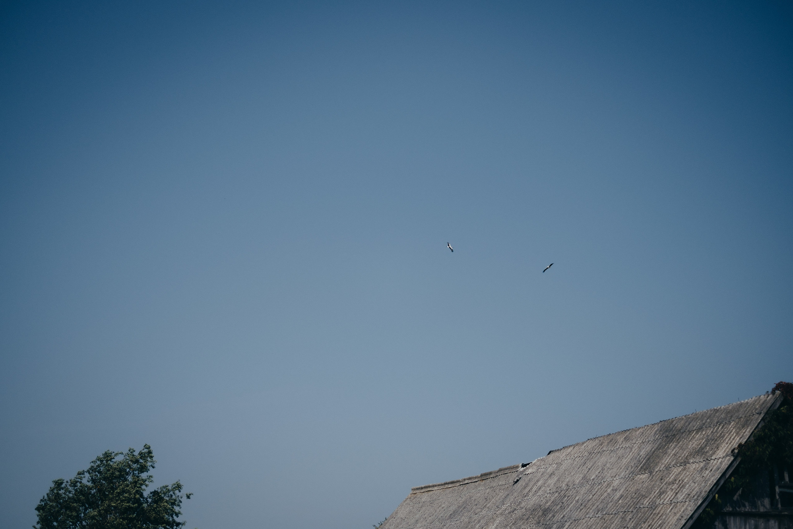 Kāzu stāsts Madara & Ingus. Kāzu × Ģimenes notikumu fotografs Edgars Kalniņš