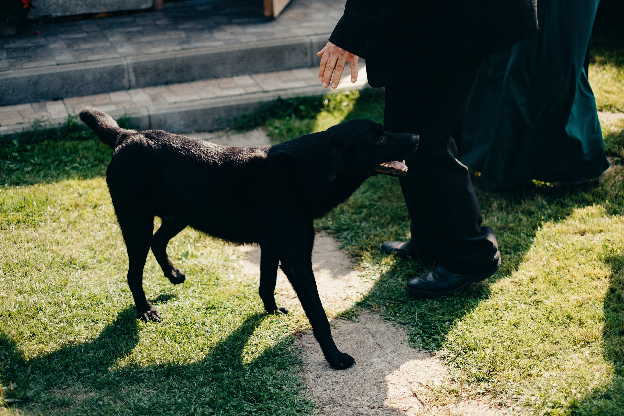 Kāzu stāsts Madara & Ingus. Kāzu × Ģimenes notikumu fotografs Edgars Kalniņš