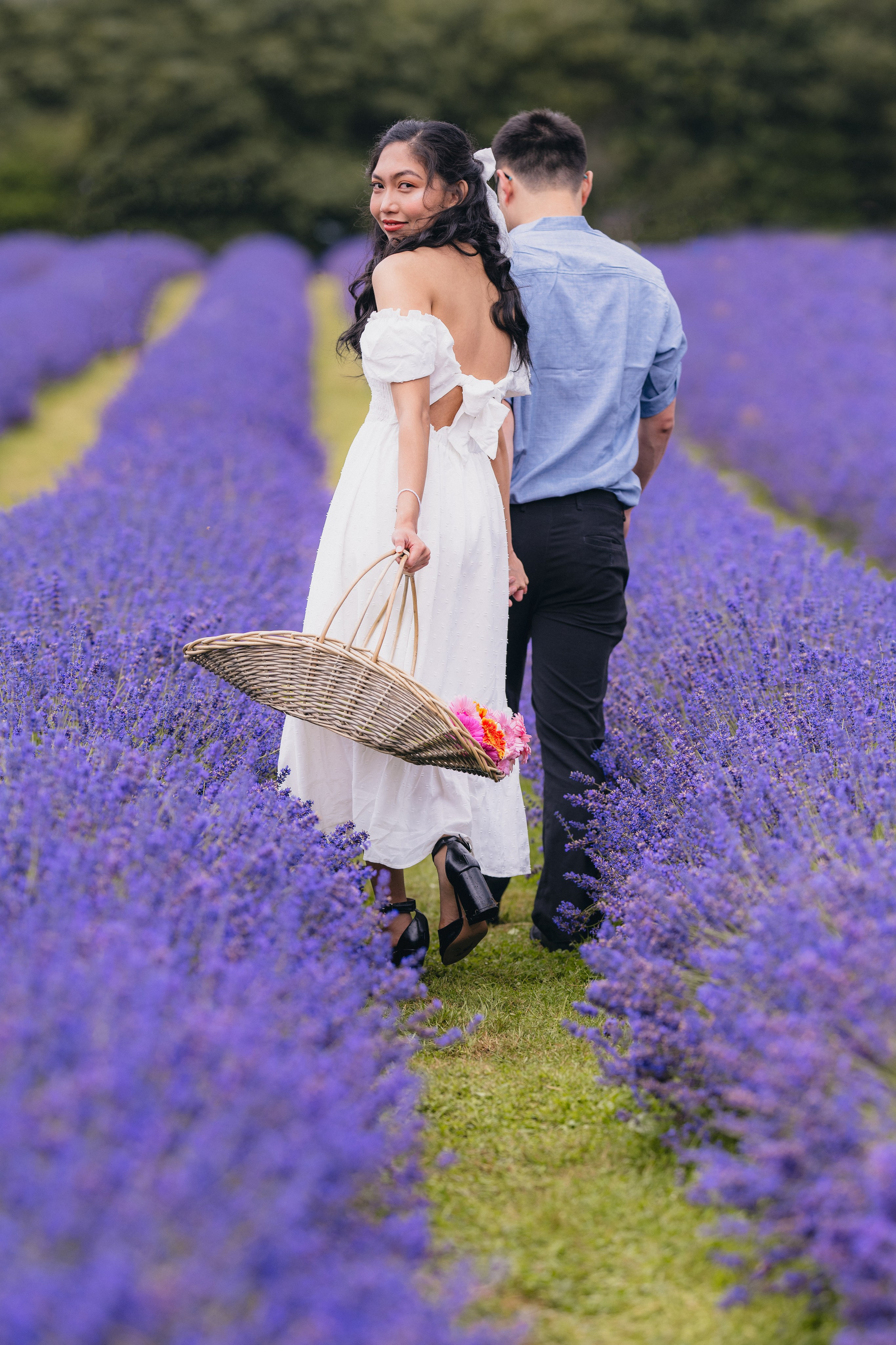 A & M Lavender farm. Tania Gandrabur, photographer in West Midlands, England
