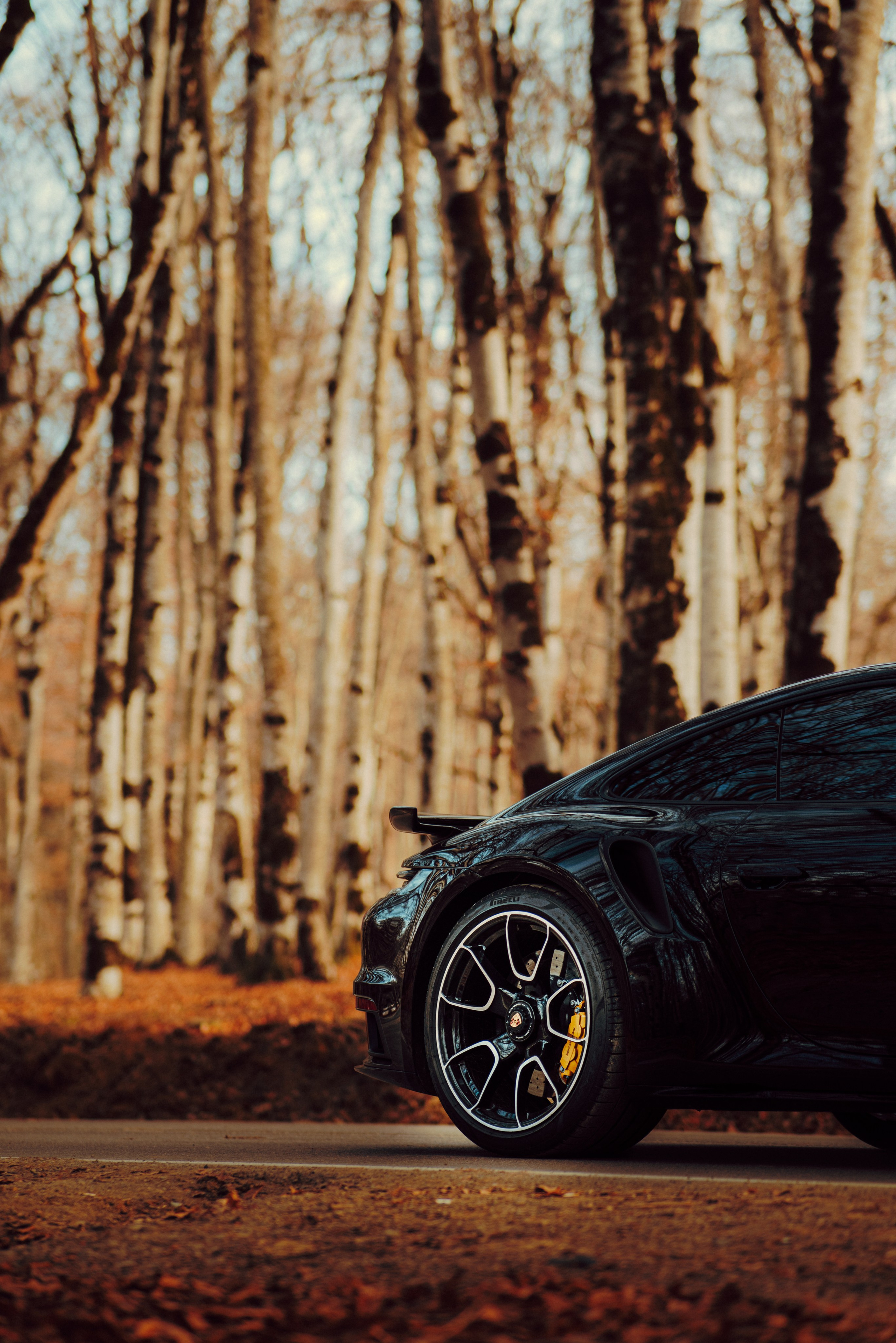 Porsche. Merabi Eminashvili