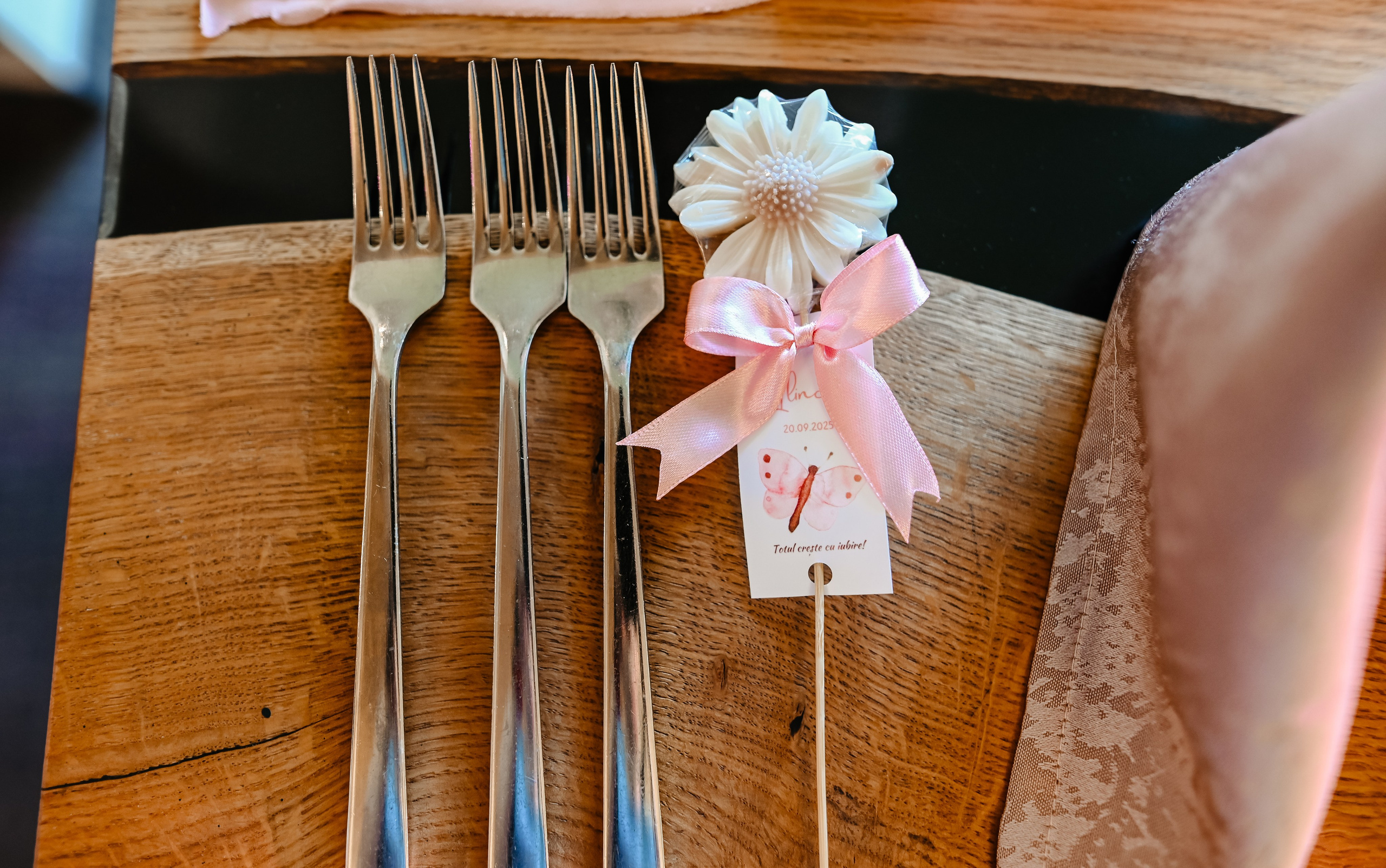 Botez Ilinca, Restaurant Cocosul Rosu. Ana Maria Dragan Fotograf Evenimente