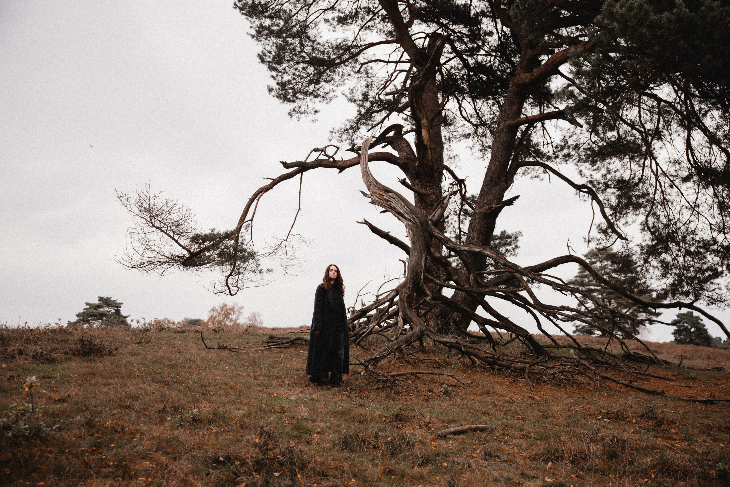 Victoria I Westruper Heide. Hochzeitsfotografin Bochum | Halyna Reiche Fotografie NRW