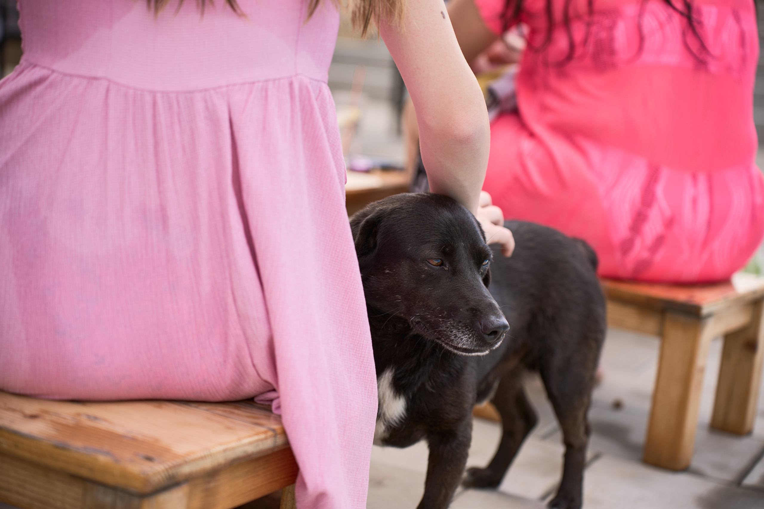 Milena bachelorette. Marko Superio | Wedding & Portrait Photographer