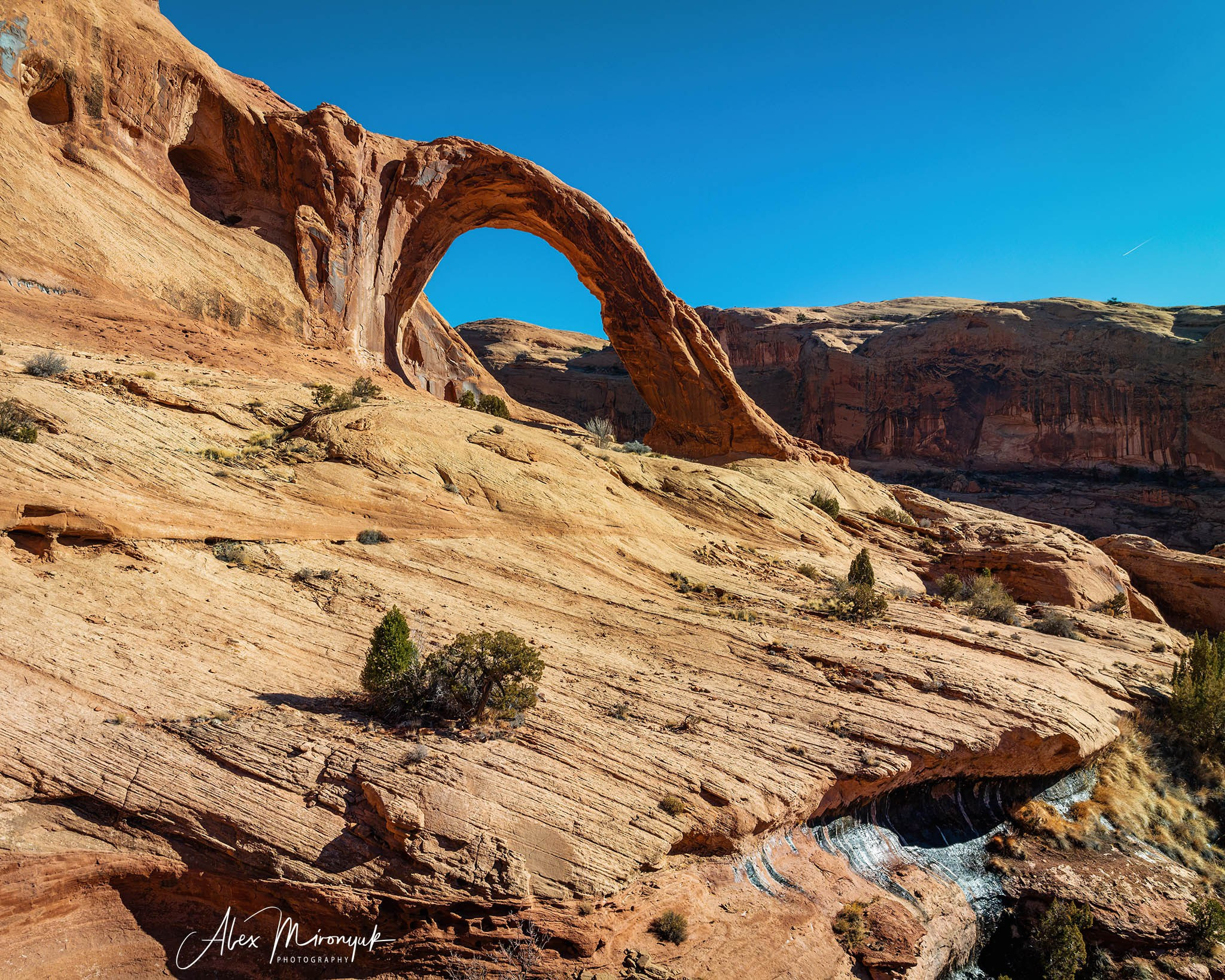 New Year In Utah. Pet, Senior, Landscape, portrait studio, photographer in Miami and Sou